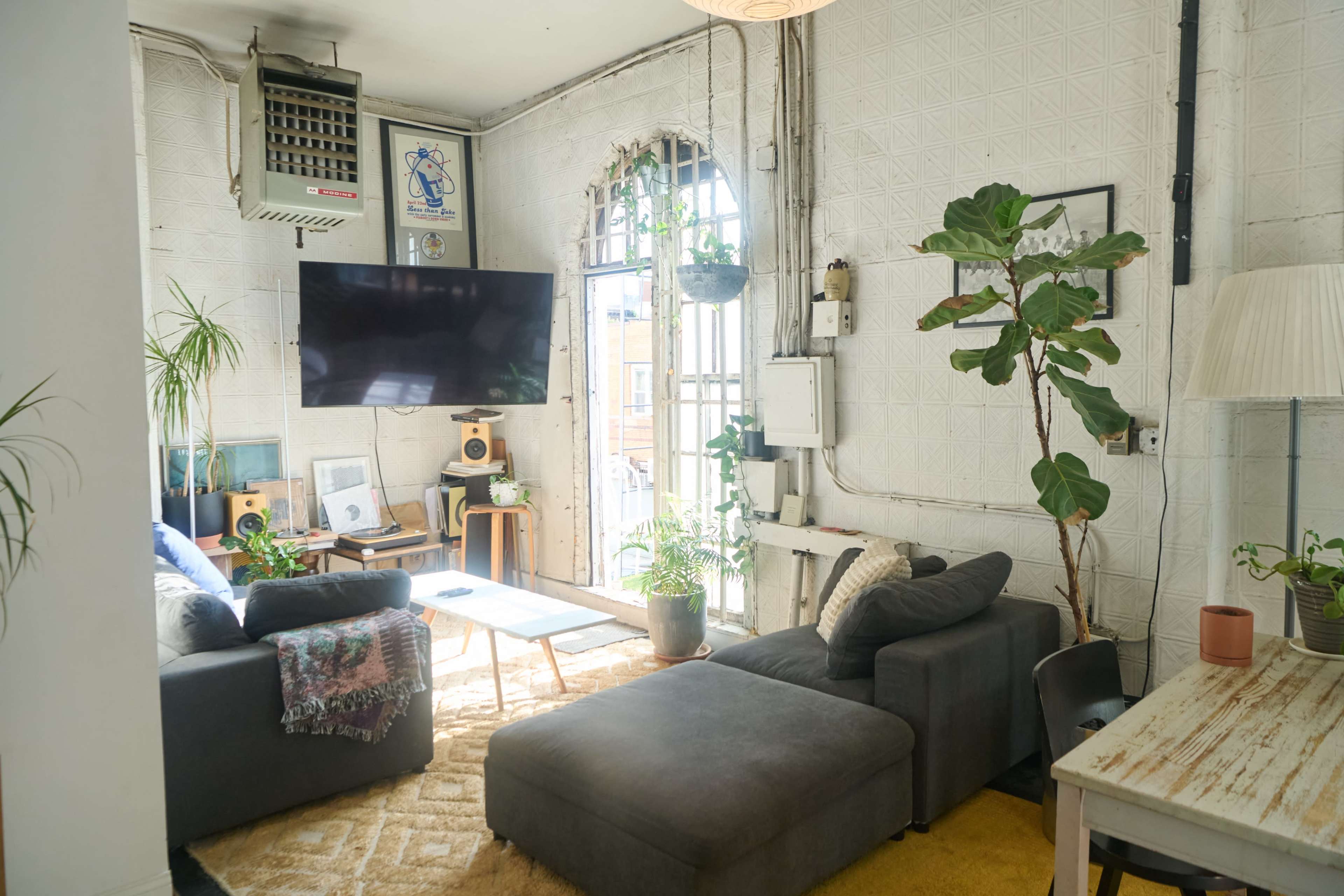 A modern living room features a large television, a gray sofa, plants, and a window with natural light streaming in.