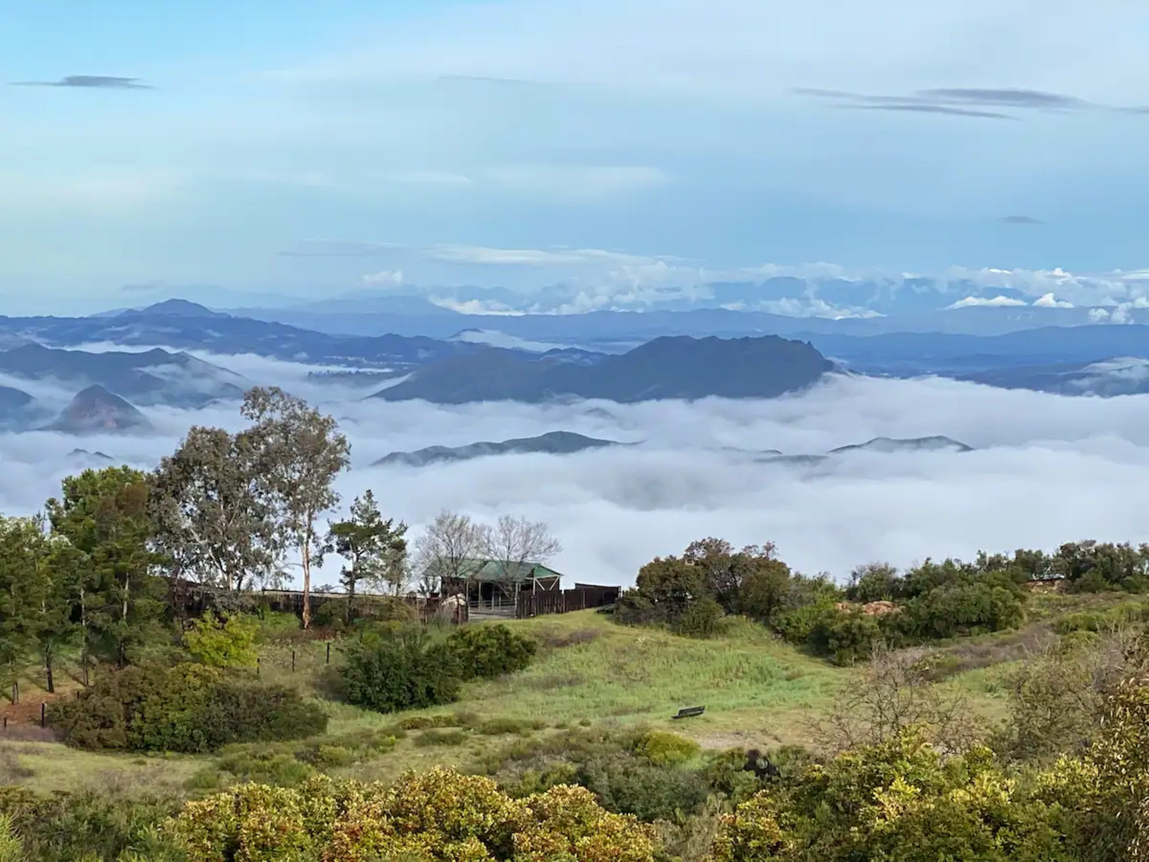 The image shows a landscape view from a hillside, where low clouds blanket the valley and distant mountains are visible beyond the mist.