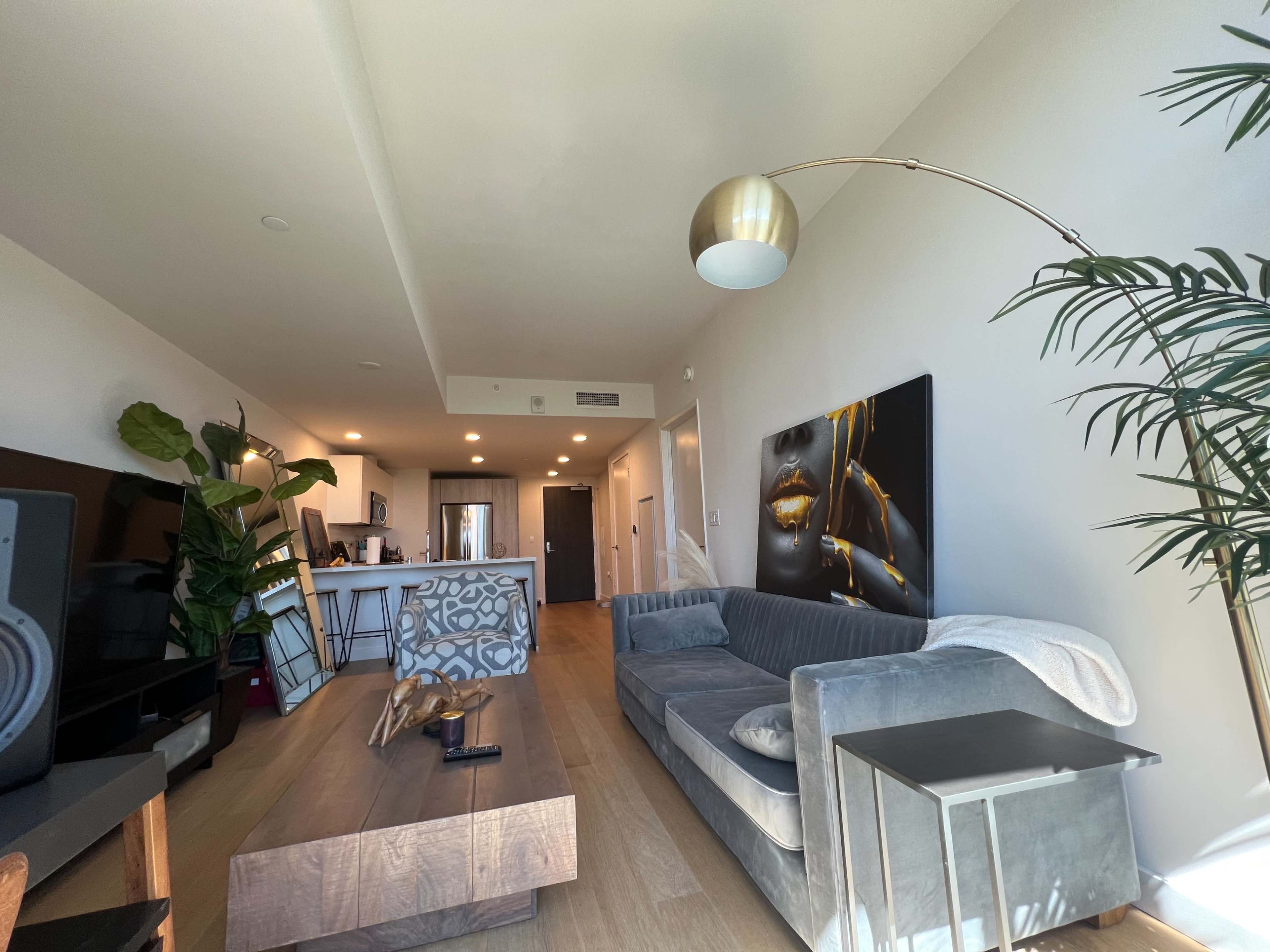 The image shows a modern living room with a gray couch, a wooden coffee table, and a large wall art piece, along with plants and a kitchen area in the background.
