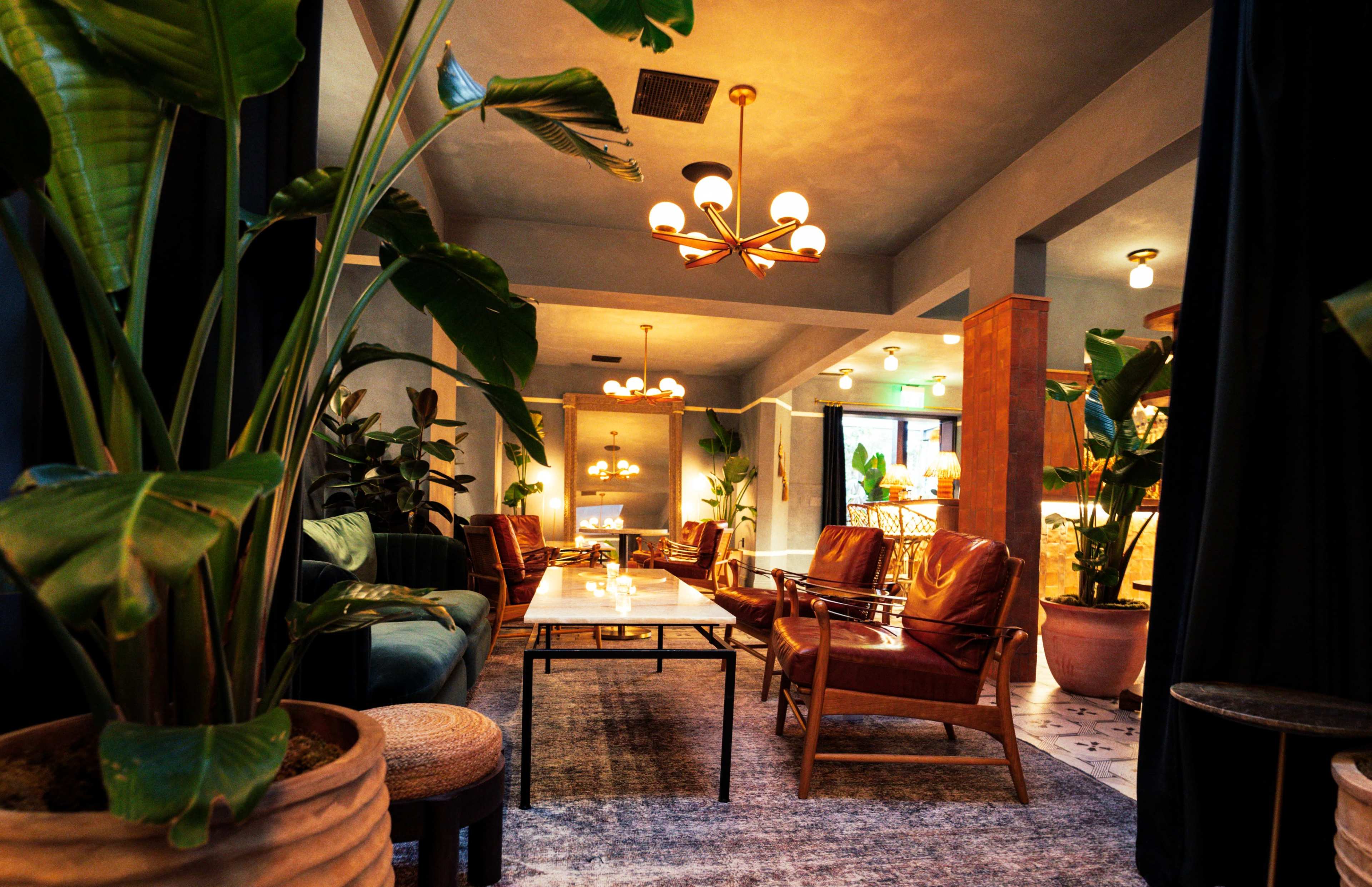 A cozy lounge area furnished with leather chairs, a wooden coffee table, and surrounded by large green plants.