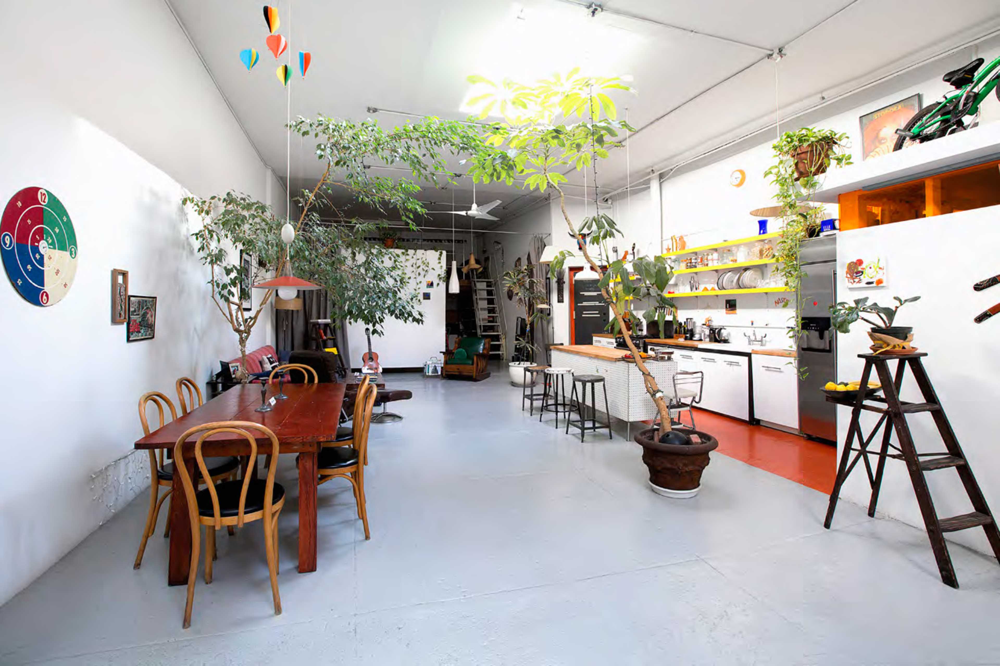 An open-concept living space with a wooden dining table, greenery, and a kitchen area along one side.