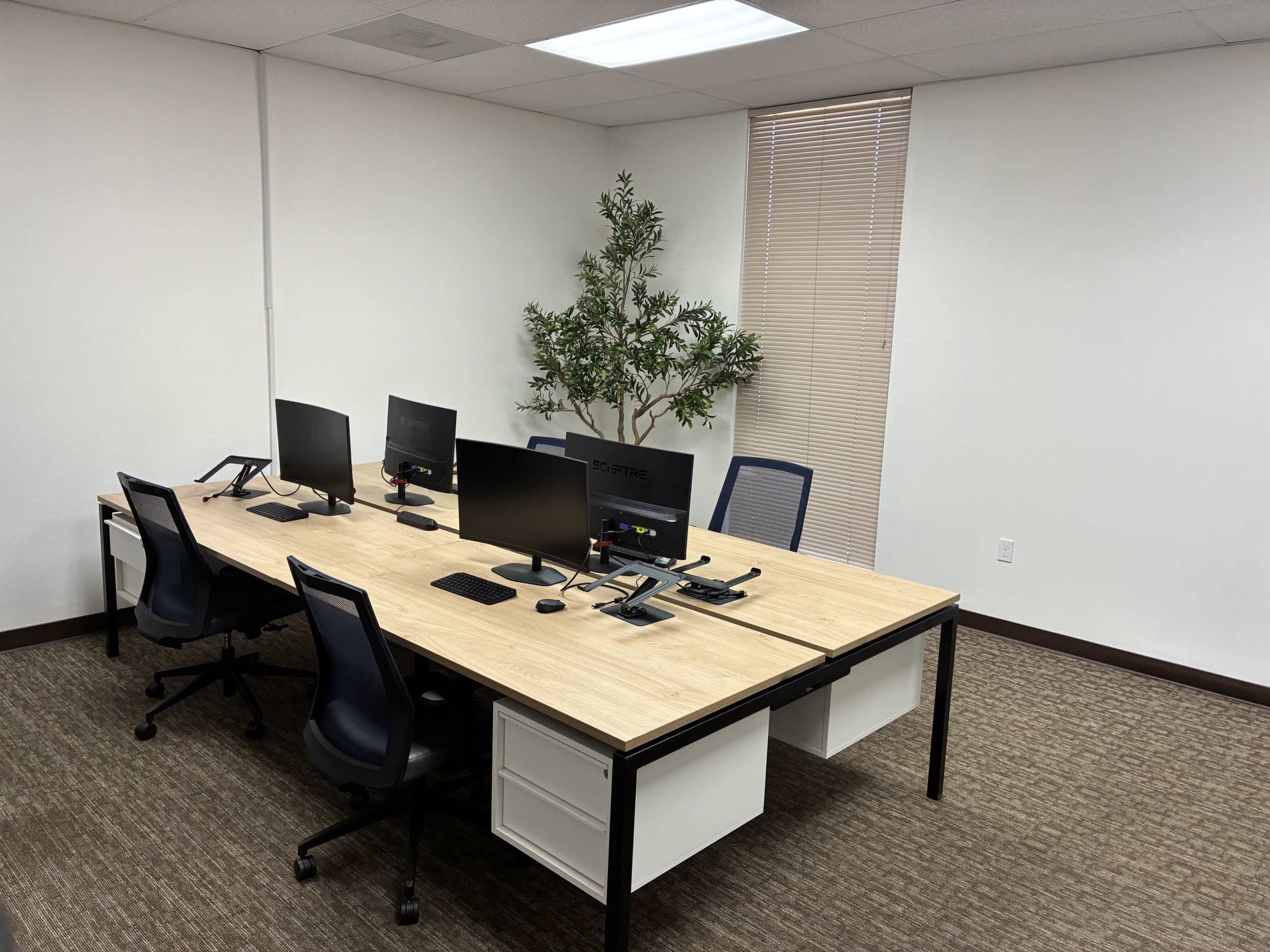 The image shows a minimalist office space featuring a large wooden desk with three computer monitors, ergonomic chairs, and a small potted plant.