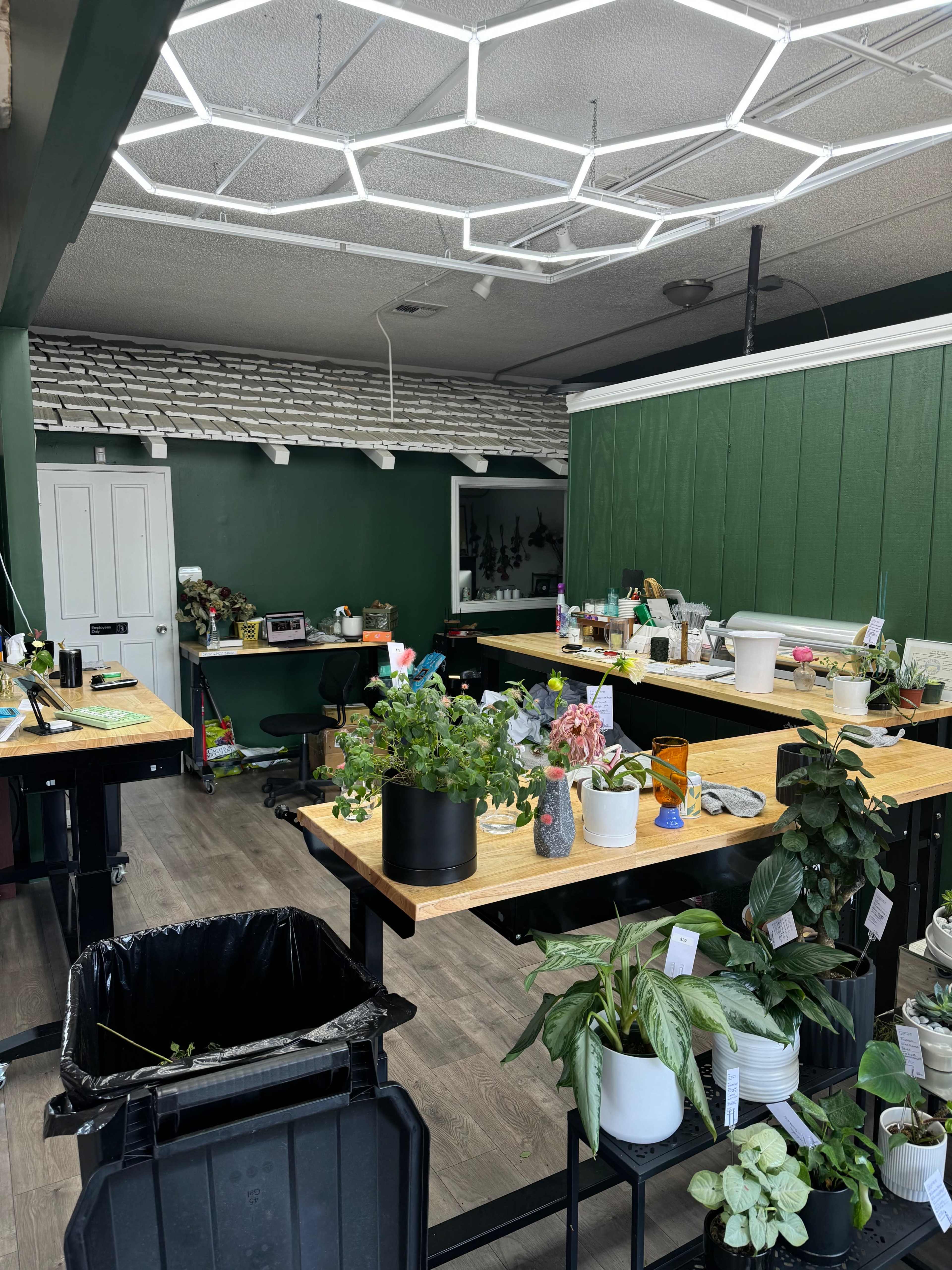 The image shows a neatly organized indoor plant workshop featuring wooden tables, a green accent wall, and various potted plants arranged throughout the space.