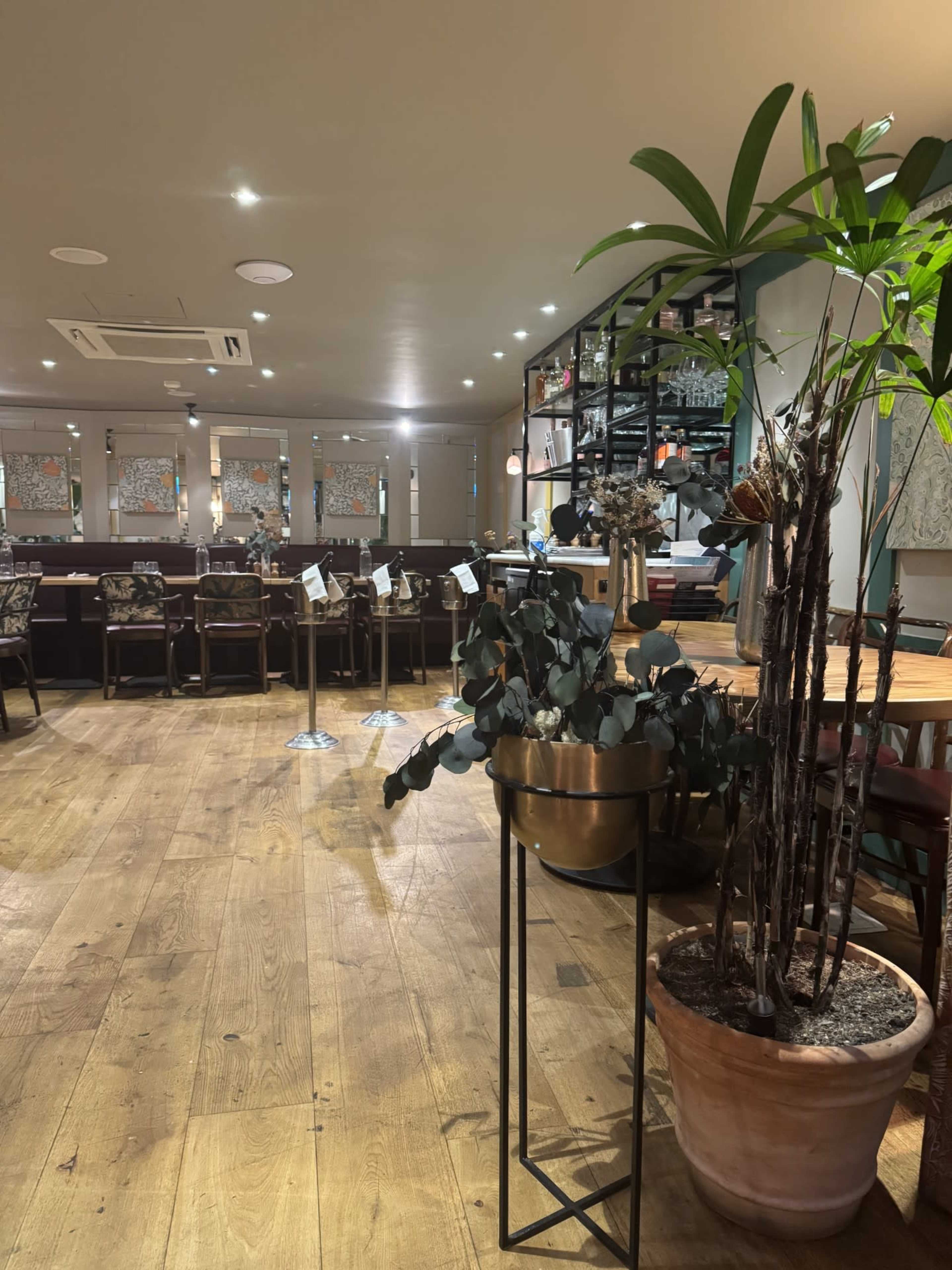 The image shows a restaurant interior featuring wooden flooring, plants in planters, and a bar area in the background with seating arrangements.