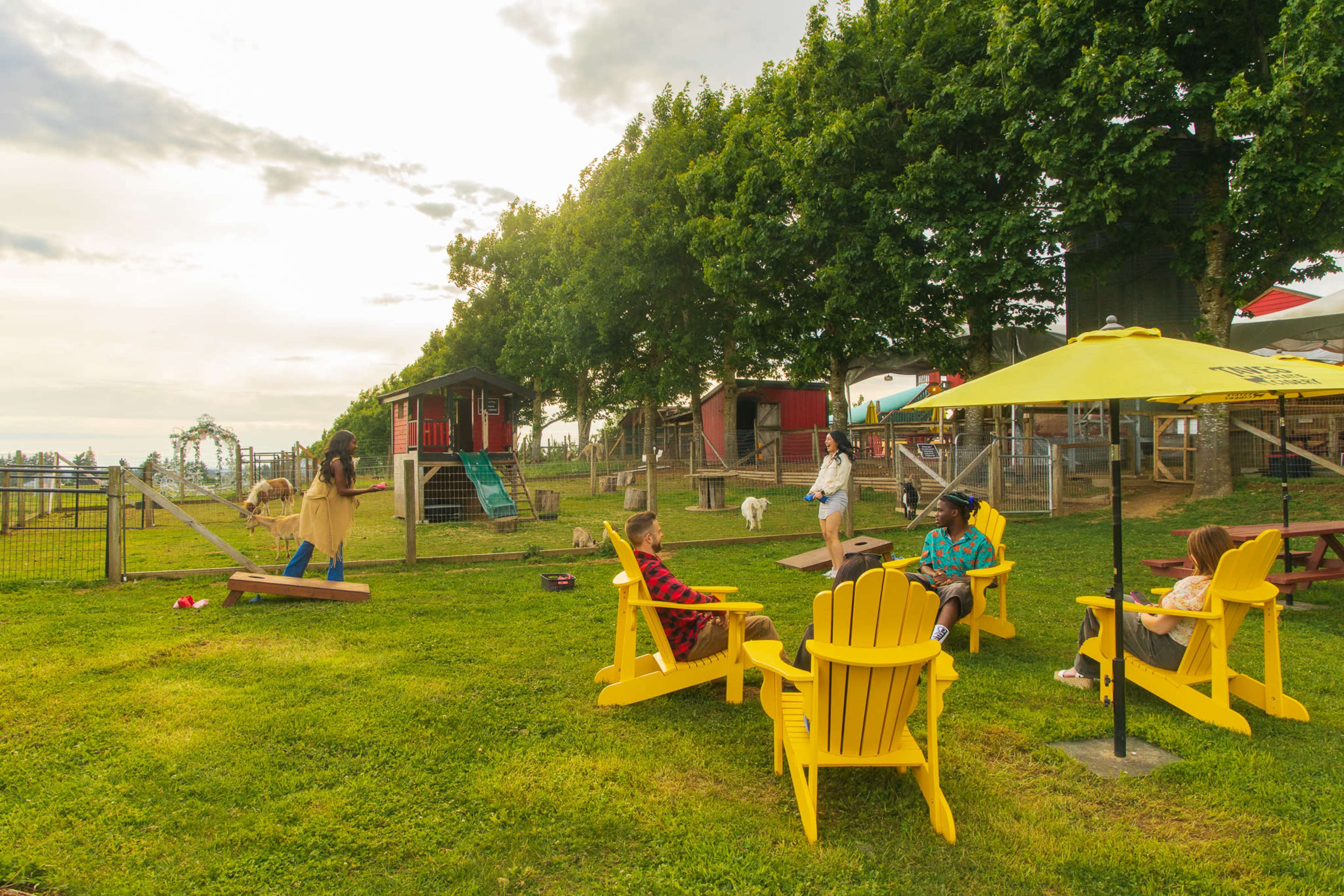 A group of people relaxes in yellow chairs while enjoying a sunny day at a farm with animals and play equipment in the background.