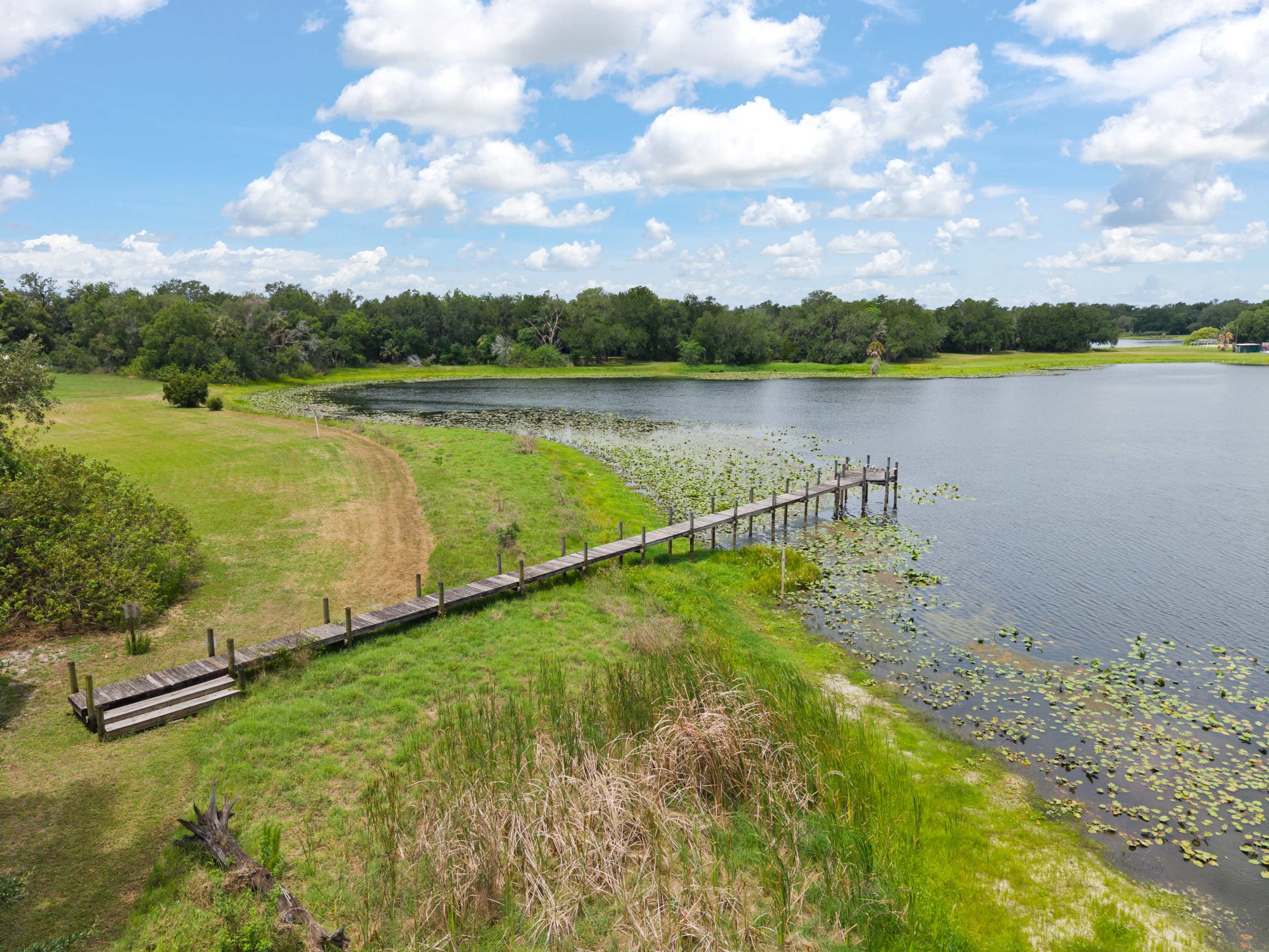 A wooden pier extends into a calm lake surrounded by lush greenery and floating lily pads under a blue sky with scattered clouds.