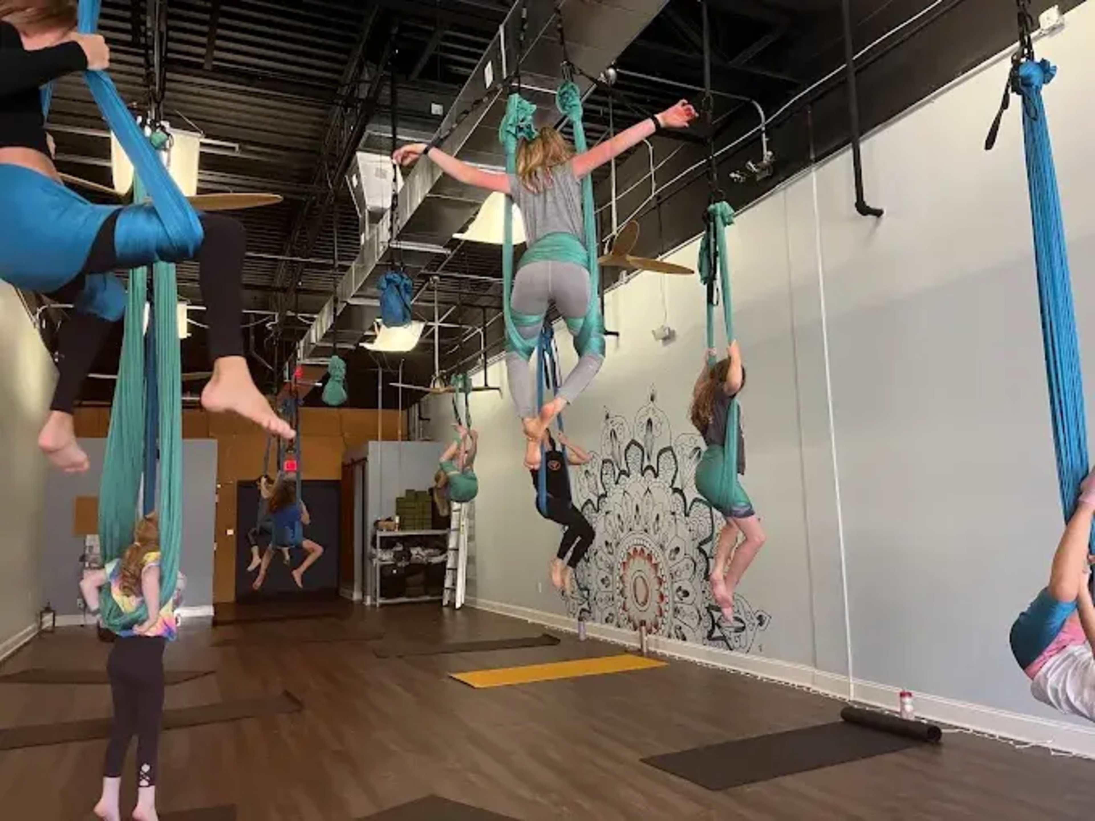 A group of individuals participates in an aerial yoga class, suspended from fabric hammocks in a studio setting.