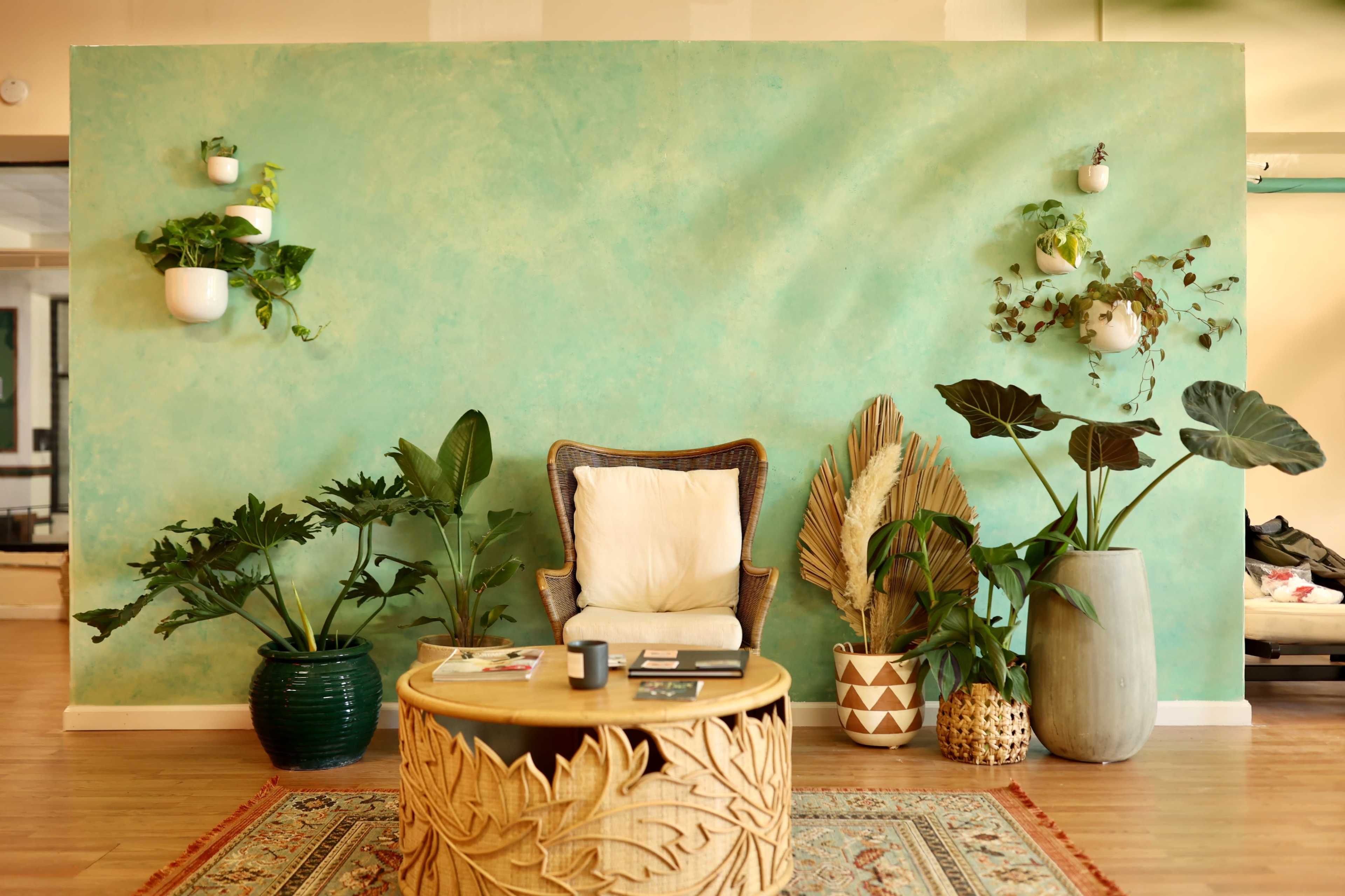 A cozy seating area features a woven chair and a decorative wooden table, surrounded by various indoor plants against a turquoise wall.