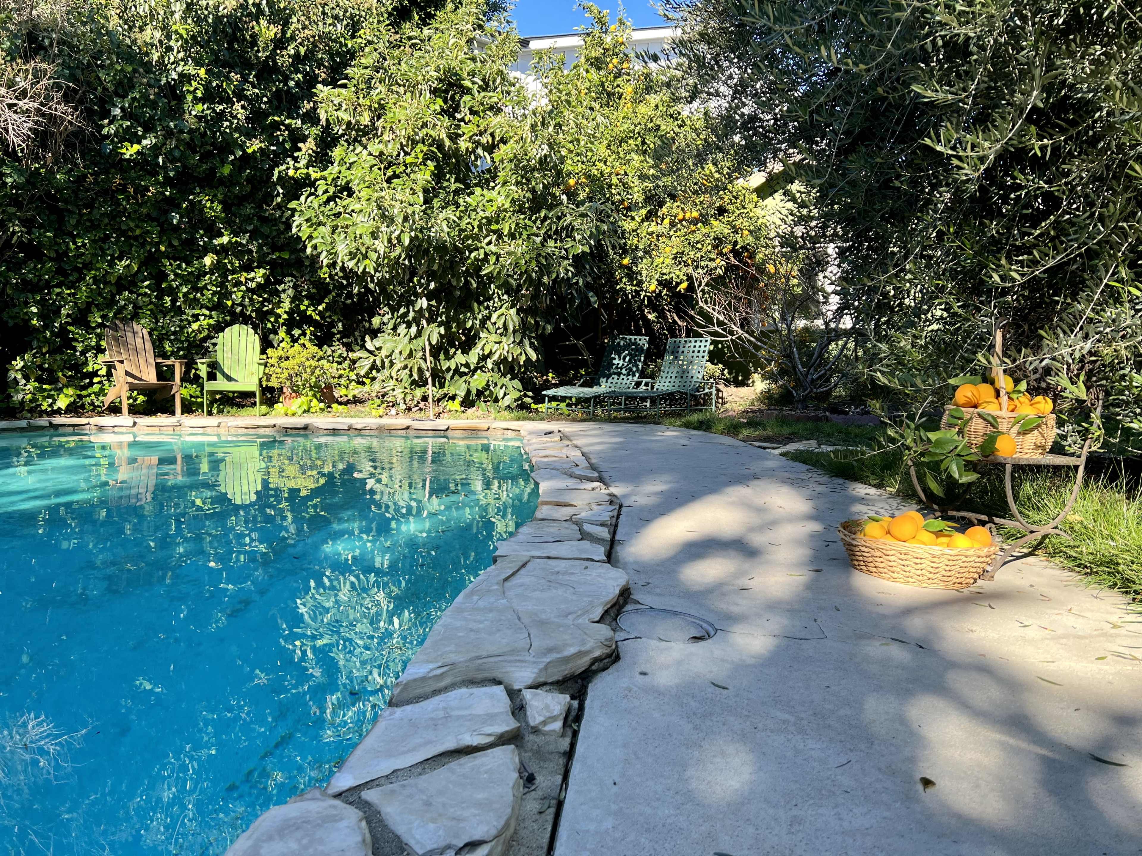 A tranquil backyard scene features a swimming pool with a stone edge, surrounded by greenery and a basket of oranges nearby.