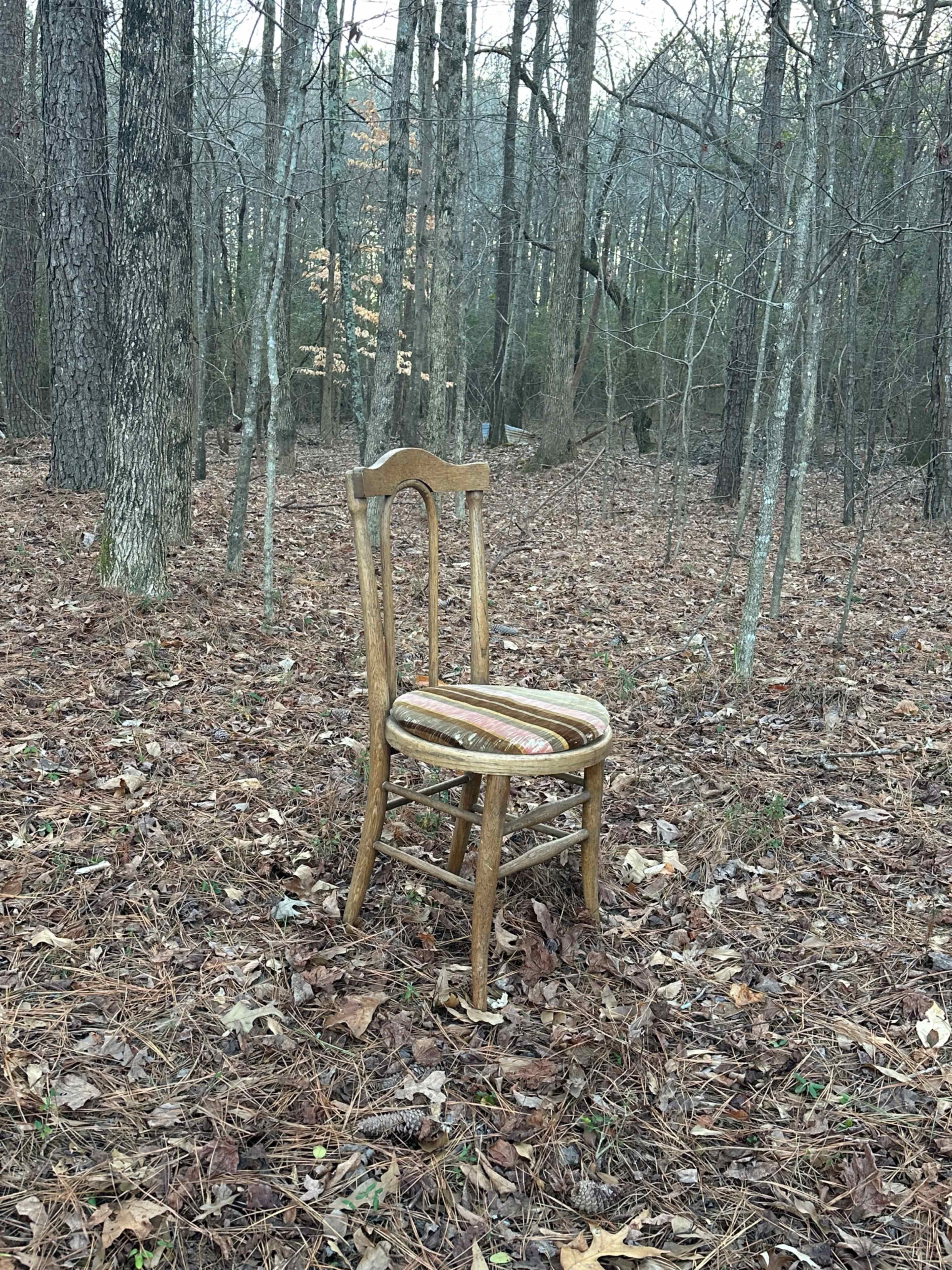 Woodland photo shoot location indoor/outdoor Image in , Buford, GA