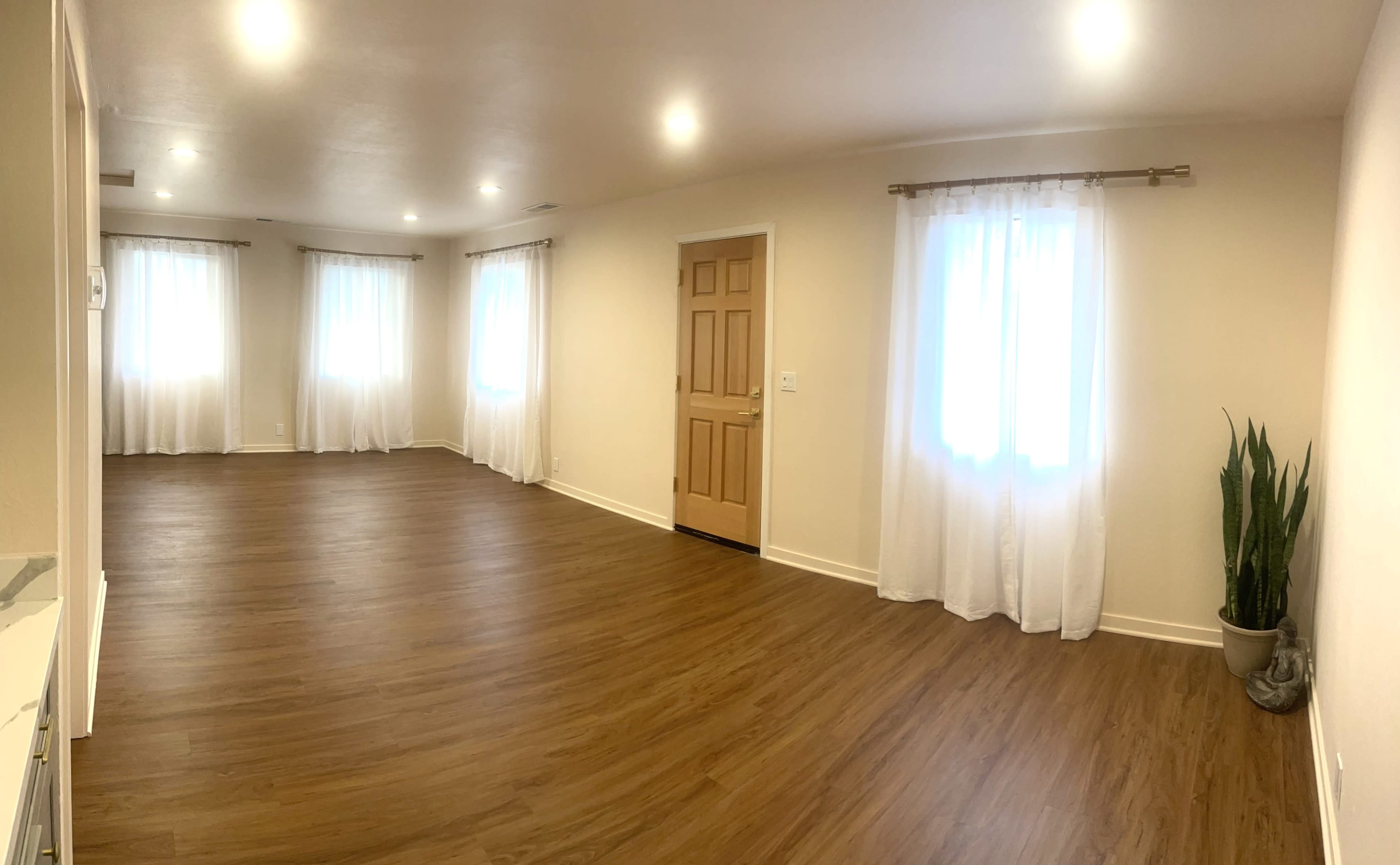 A spacious, well-lit room with hardwood flooring, two windows dressed with sheer curtains, a door, and a potted plant in the corner.