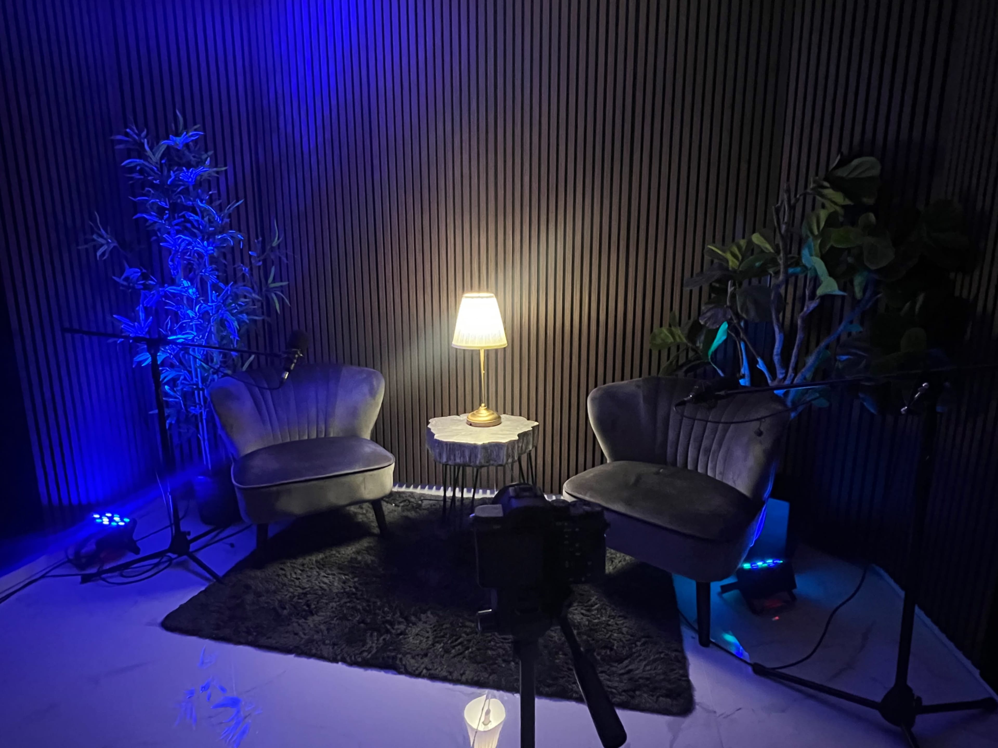 The image shows a small, dimly lit recording setup featuring two chairs, a lamp on a side table, and plants, with microphones positioned nearby.