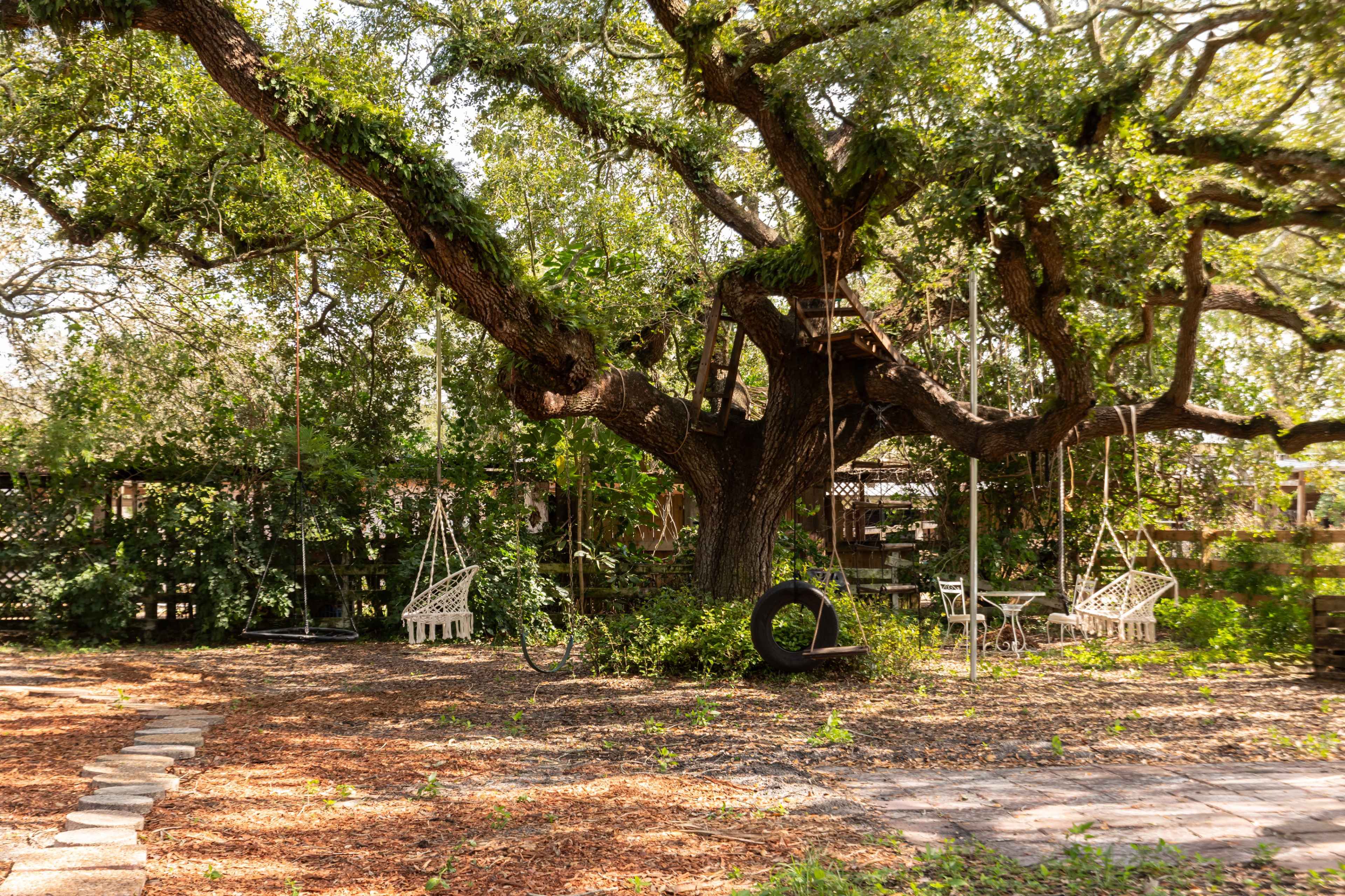 A large oak tree with hanging swings is surrounded by a gravel pathway and lush greenery.