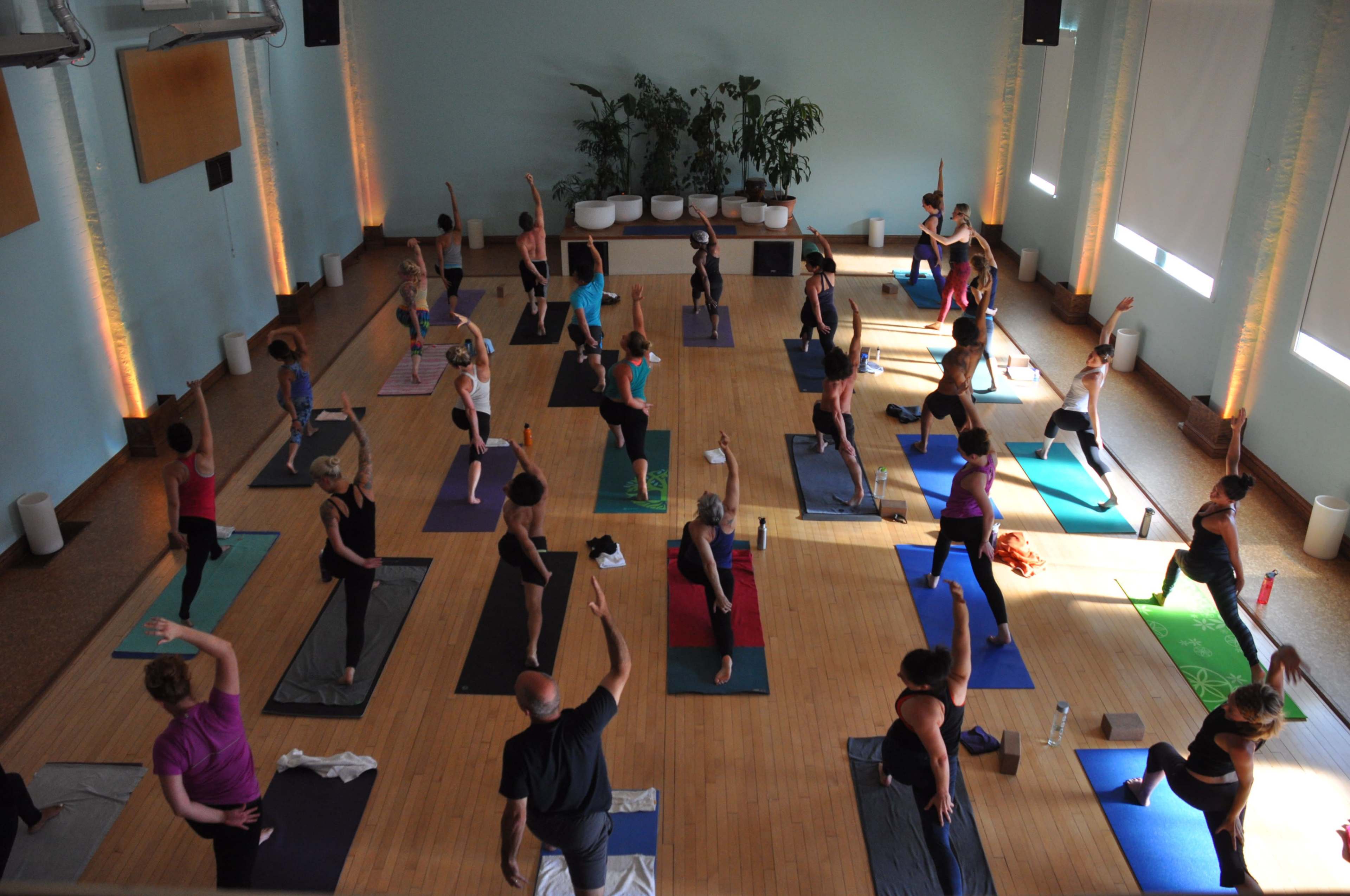 A large group of people is practicing yoga in a spacious studio with wooden flooring and large windows.