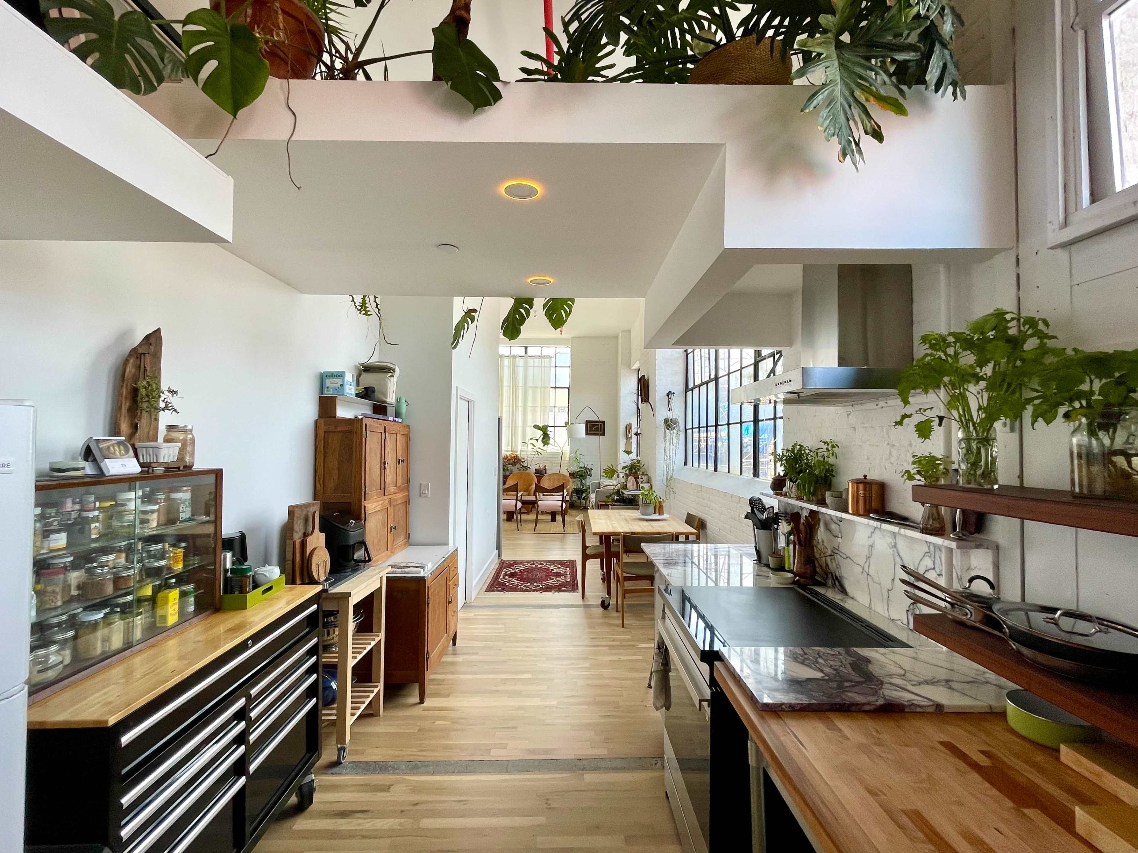 A modern kitchen features wooden cabinets and shelves, a central island, and large windows that allow natural light to flood the space, while various plants add greenery.