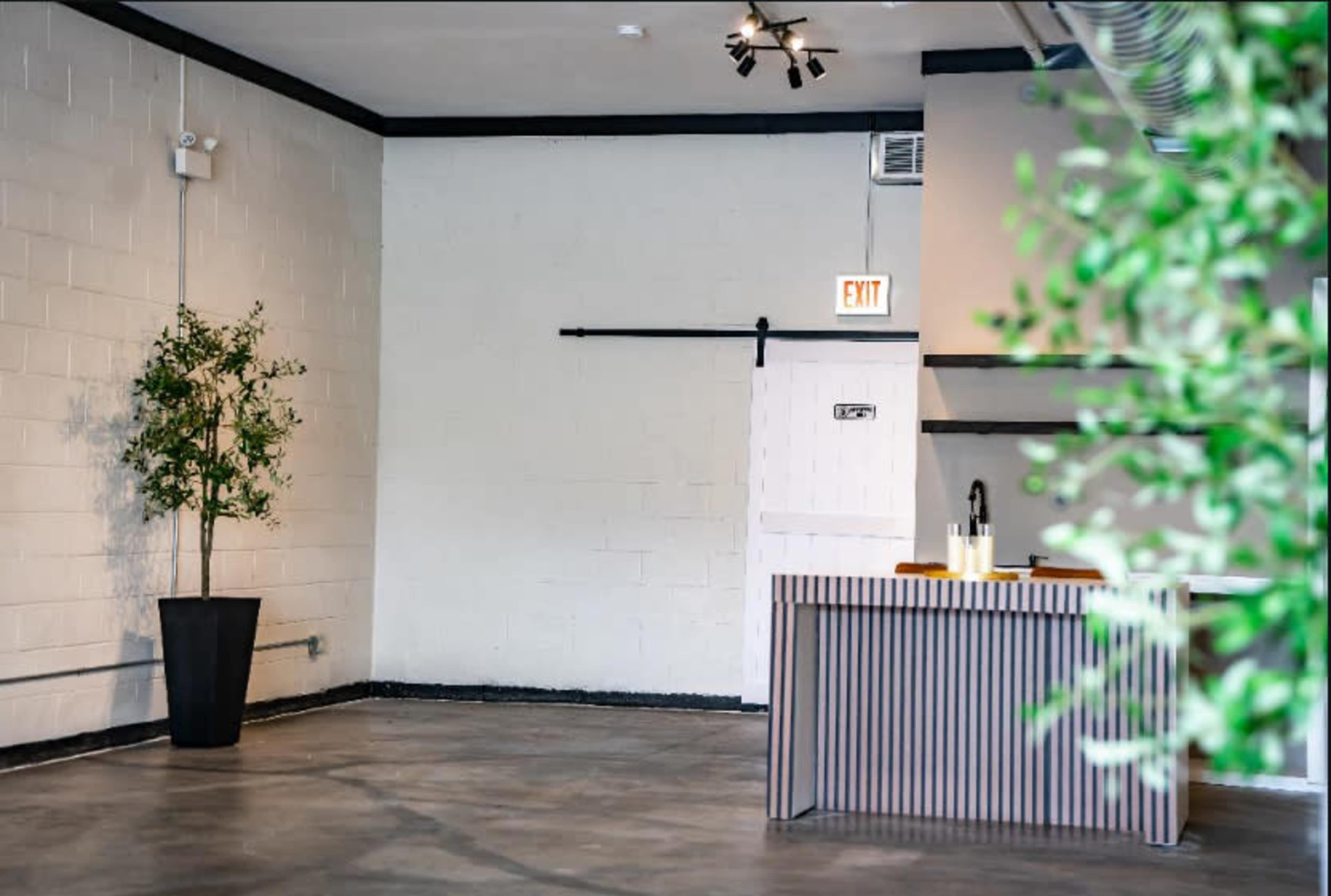 The image shows a minimalist interior space with a dark floor, a large potted plant, a striped counter, and an exit sign.