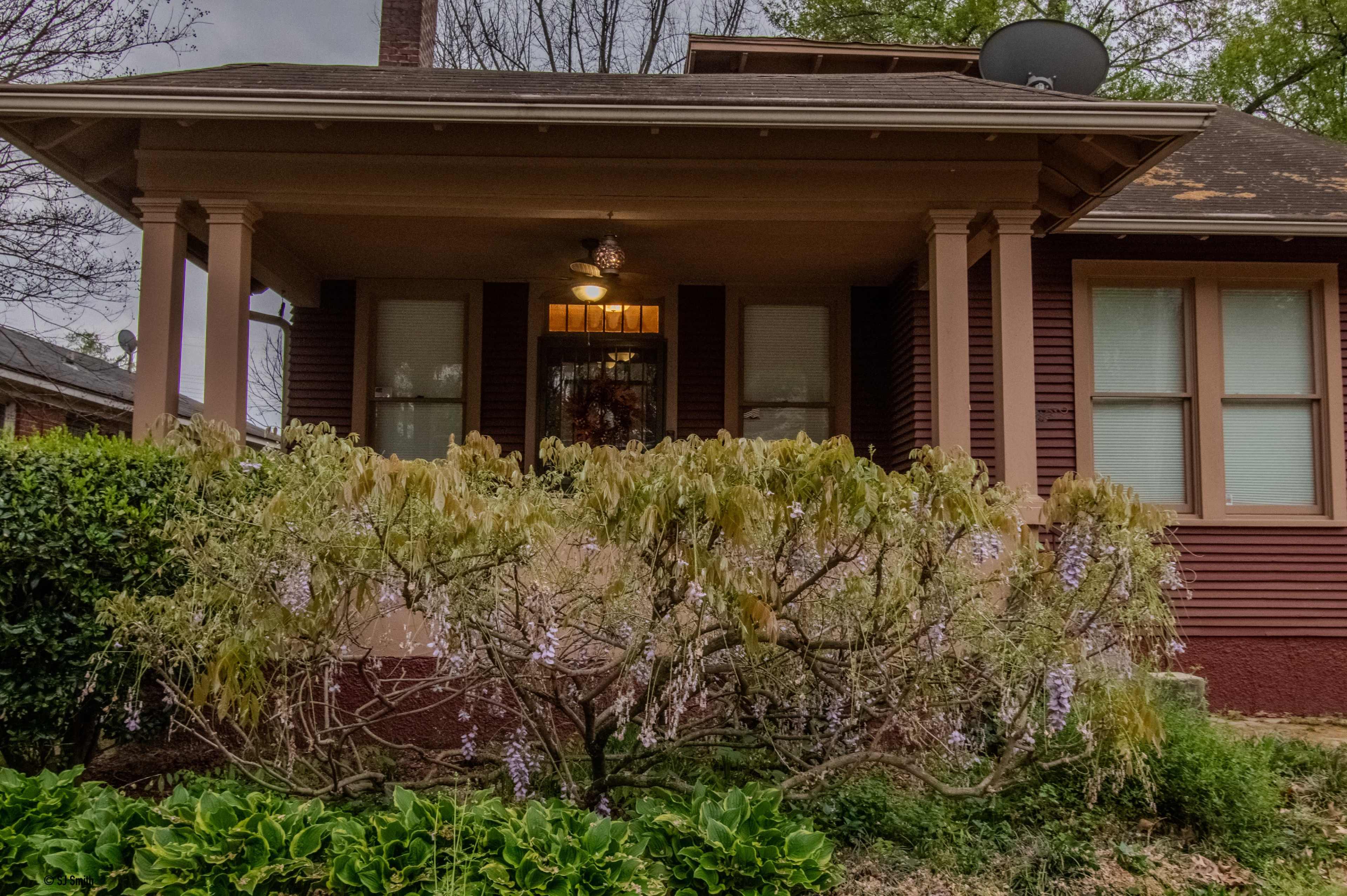 A porch with a light fixture and windows is seen in front of a brown house, framed by a bush with hanging purple flowers.
