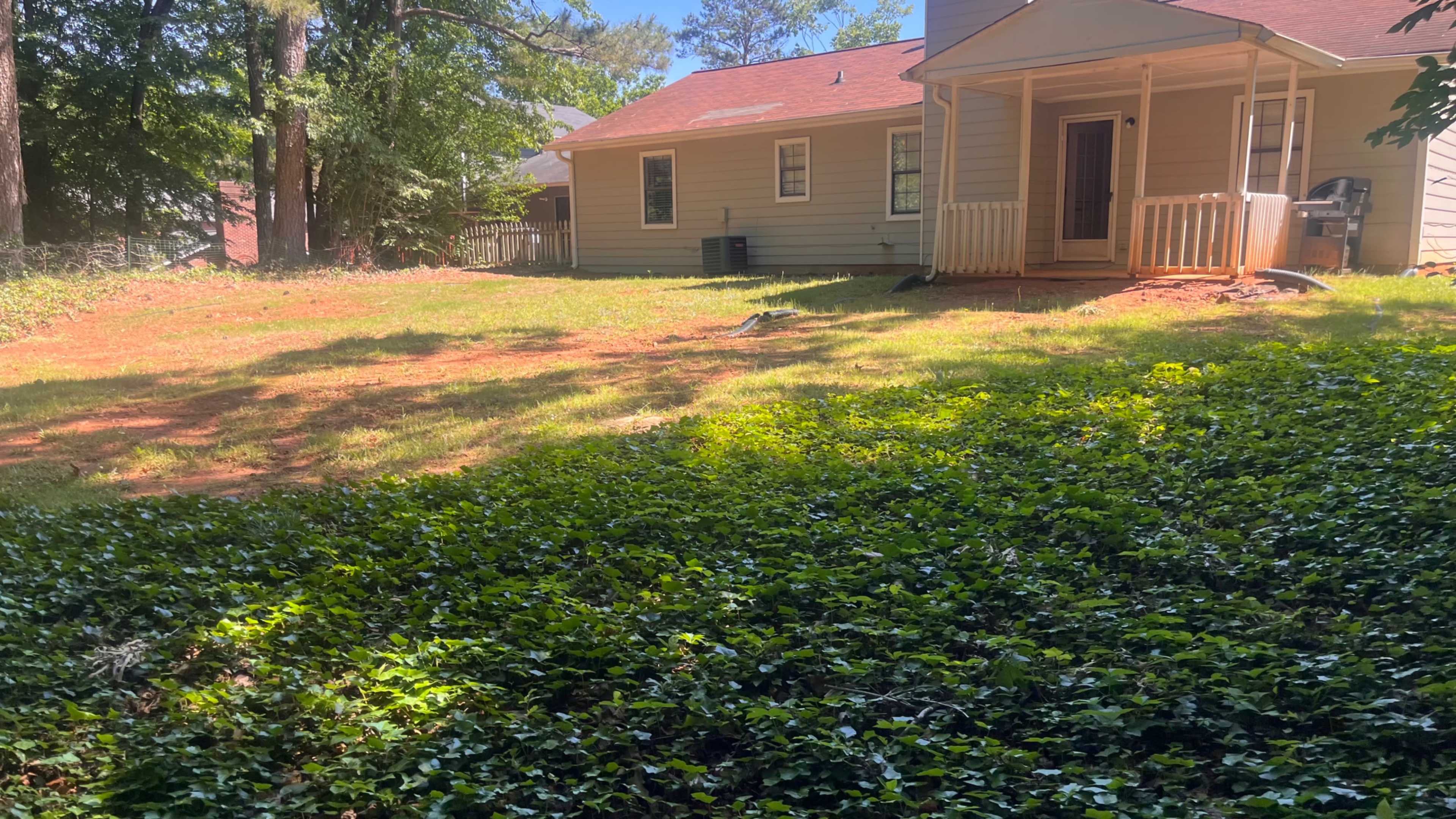 The image shows a residential backyard with patches of grass and ivy, along with a house featuring a small porch.