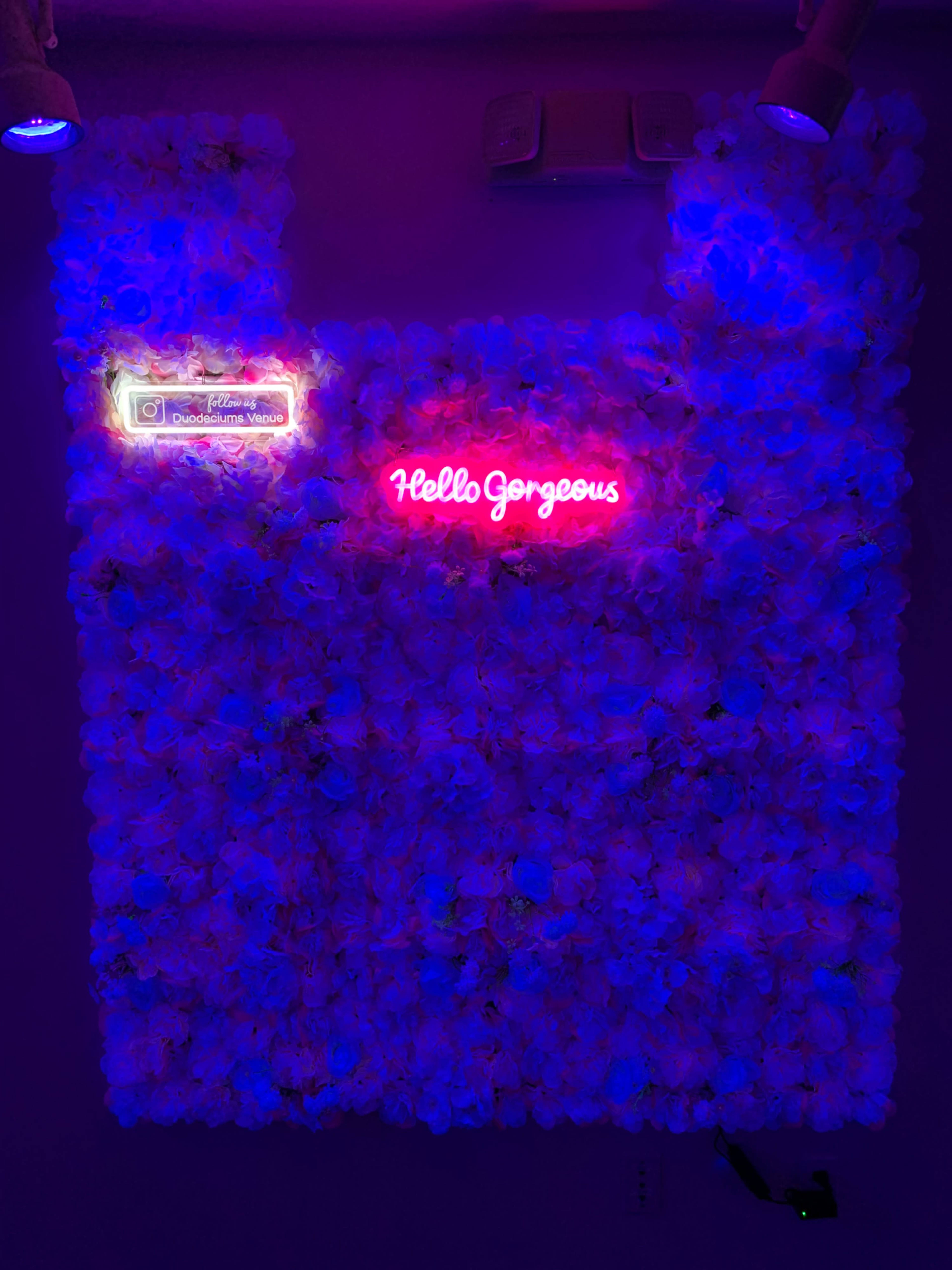 The image shows a wall covered in artificial flowers, with a neon sign that says "Hello Gorgeous" and another sign related to social media handles.