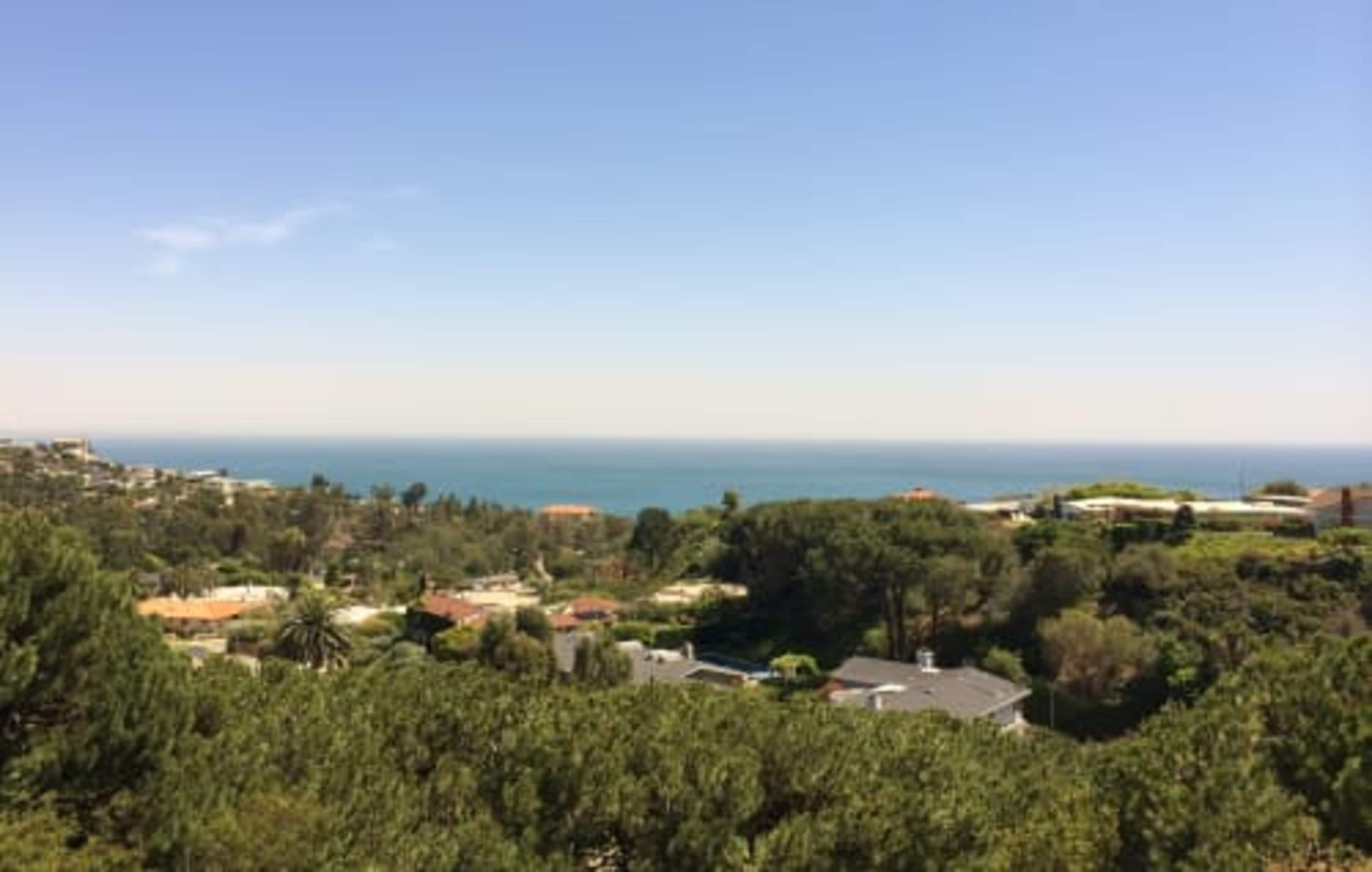 A coastal view of a residential area surrounded by greenery, with the ocean visible in the distance under a clear blue sky.