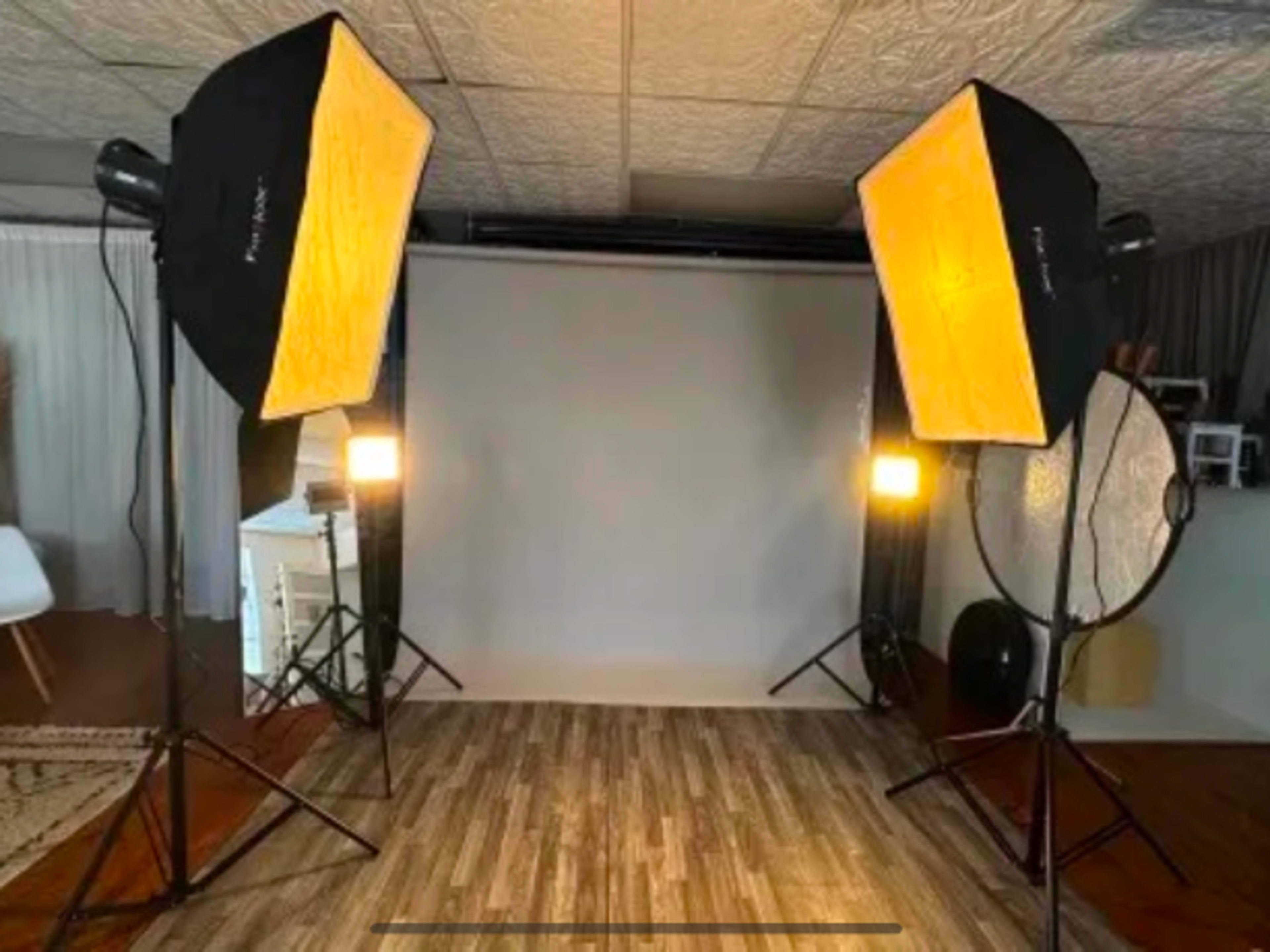 2 Elinchrom Strobe Lights with Softboxes