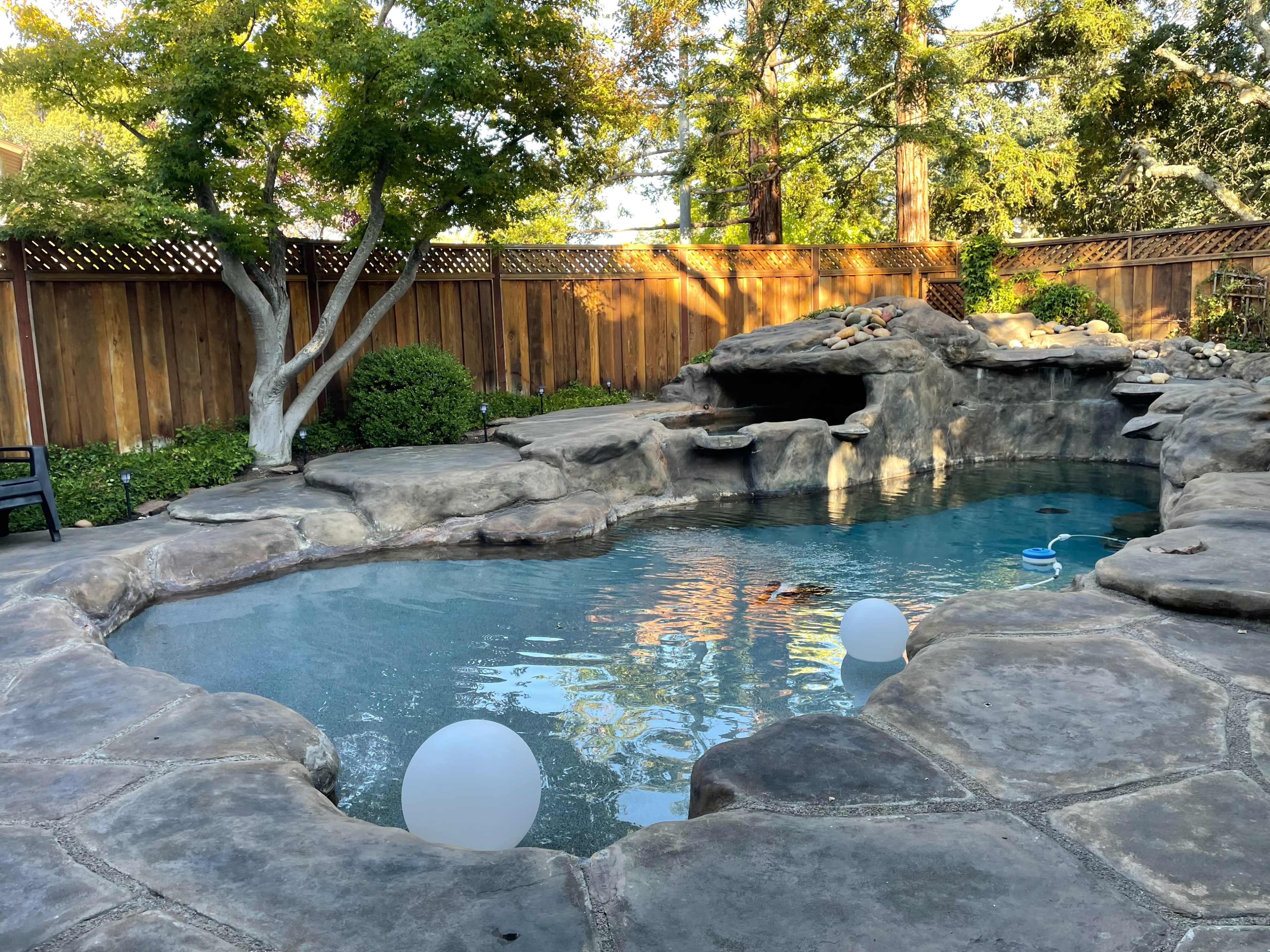 Beautiful Open Concept Home with Grotto Pool Oasis & Private Backyard Forest Views Image in Pleasant Hill, Pleasant Hill, CA