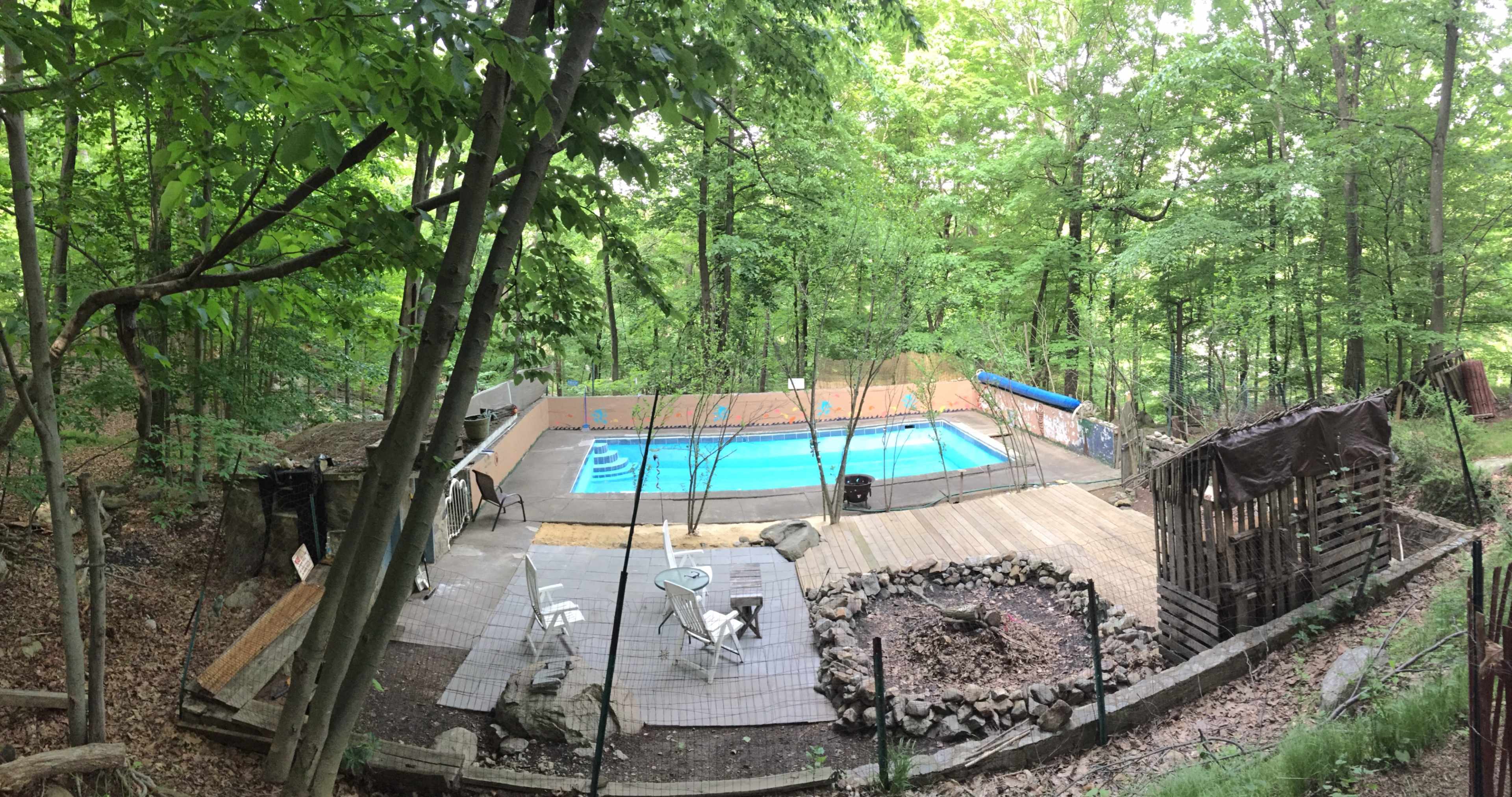 A swimming pool surrounded by wooden decking and a secluded wooded area.