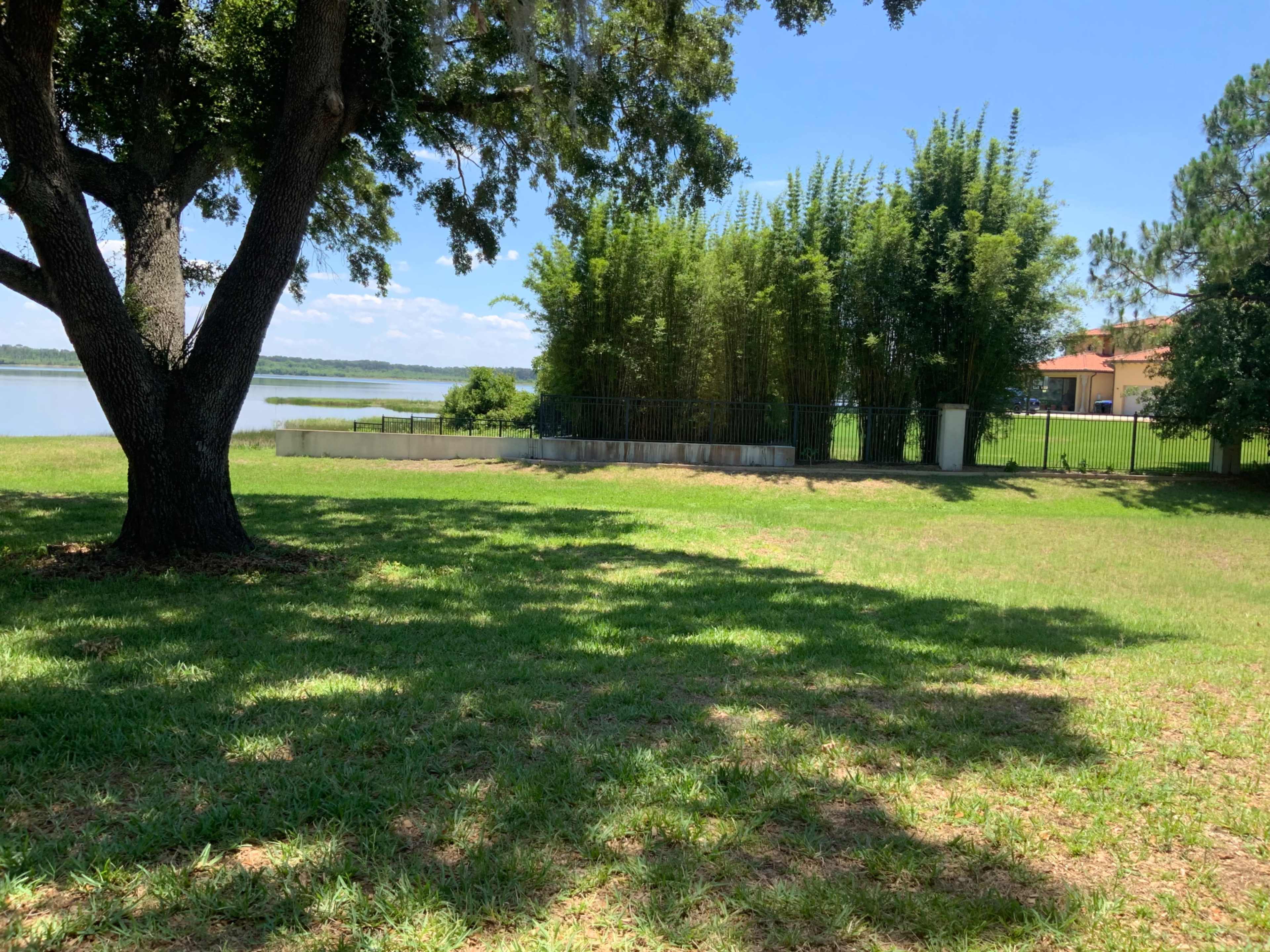 A shaded area with grass and trees overlooks a calm lake, with a green space and a house visible in the background.