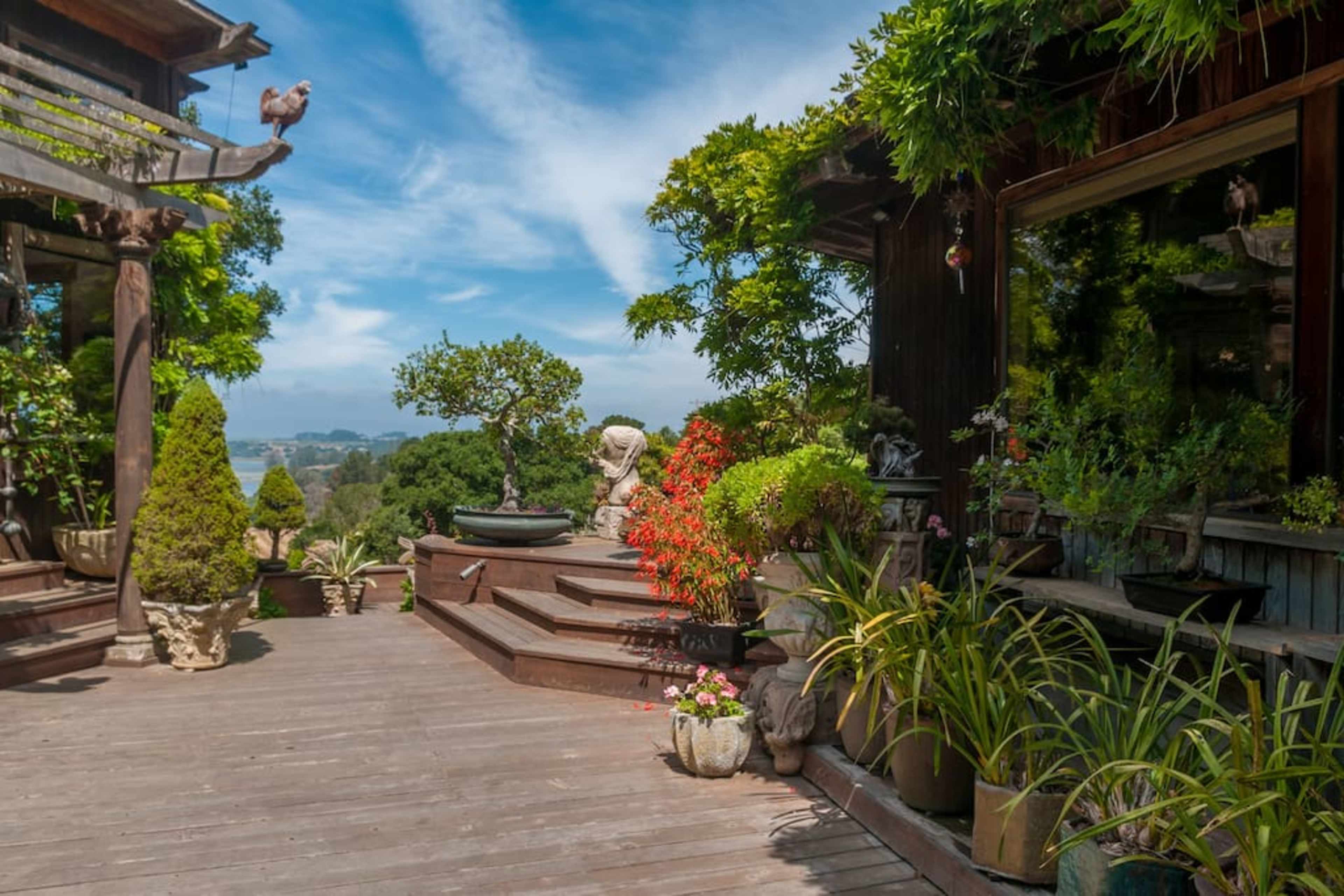 The image shows a wooden deck surrounded by various potted plants and ornamental features, with a view of greenery and blue skies in the background.