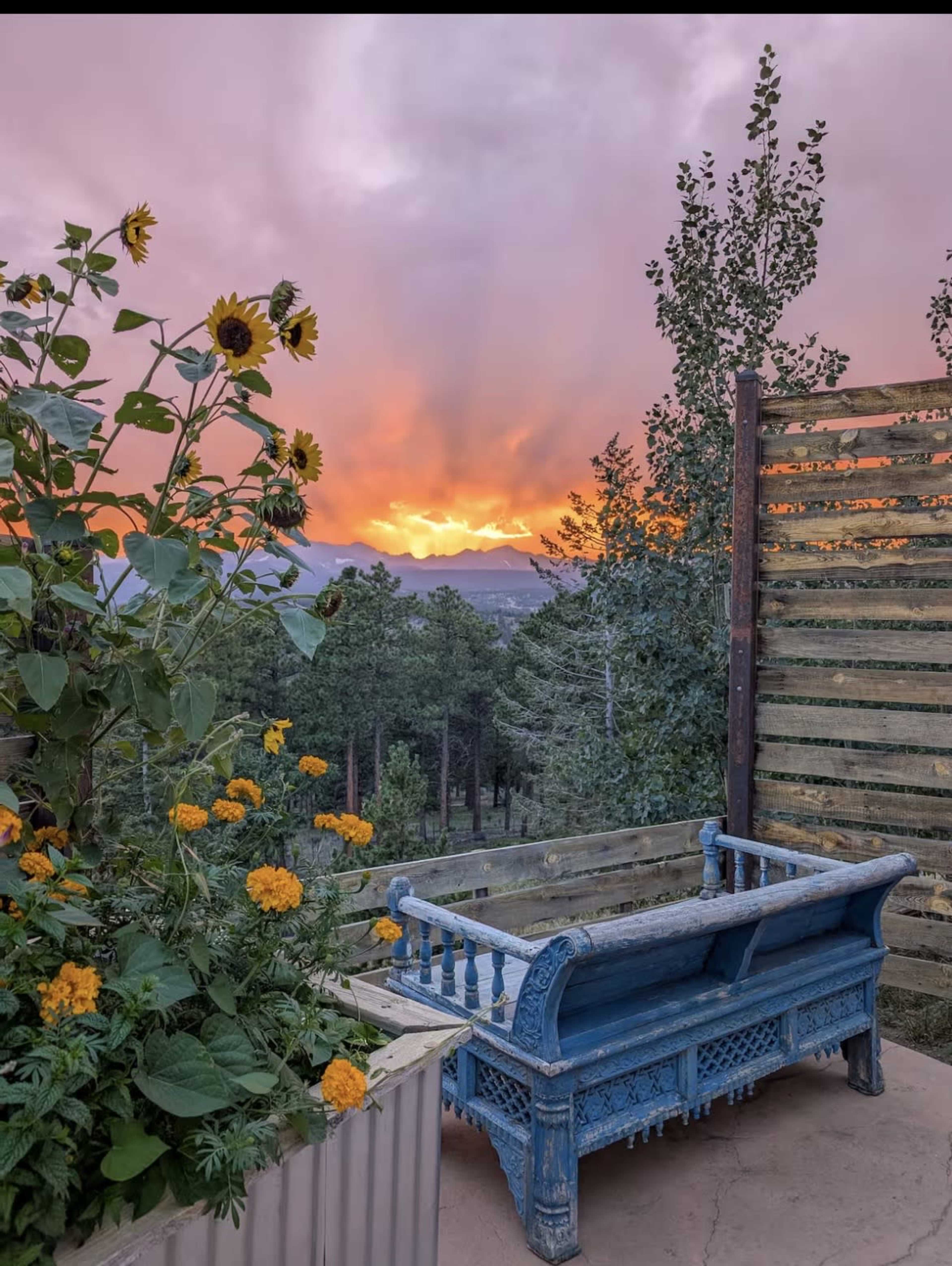 A blue wooden bench is positioned on a patio surrounded by sunflowers and marigolds, overlooking a scenic view of mountains and a vibrant sunset.