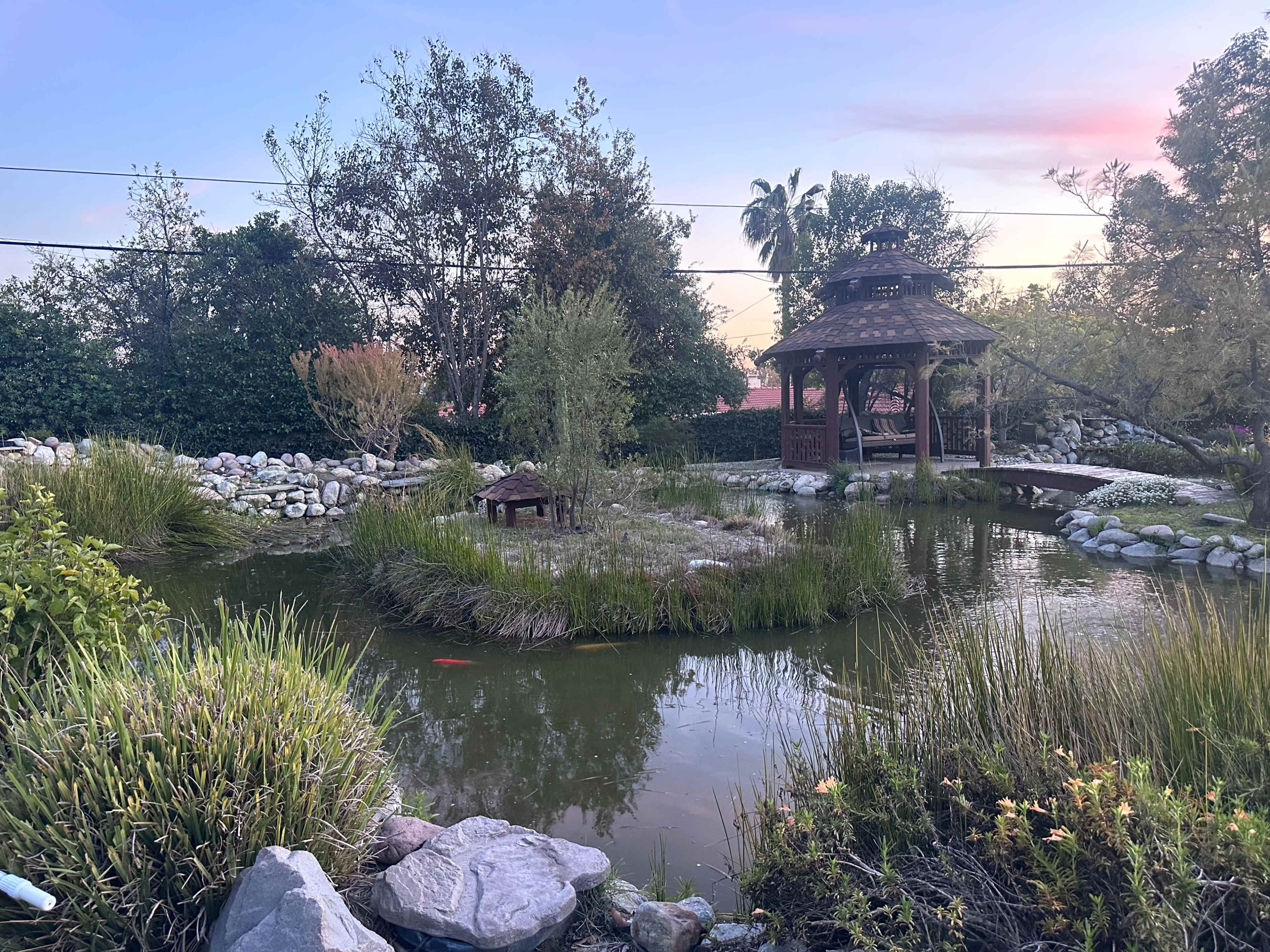 A serene garden scene features a pond surrounded by lush greenery, stones, and a gazebo in the background.