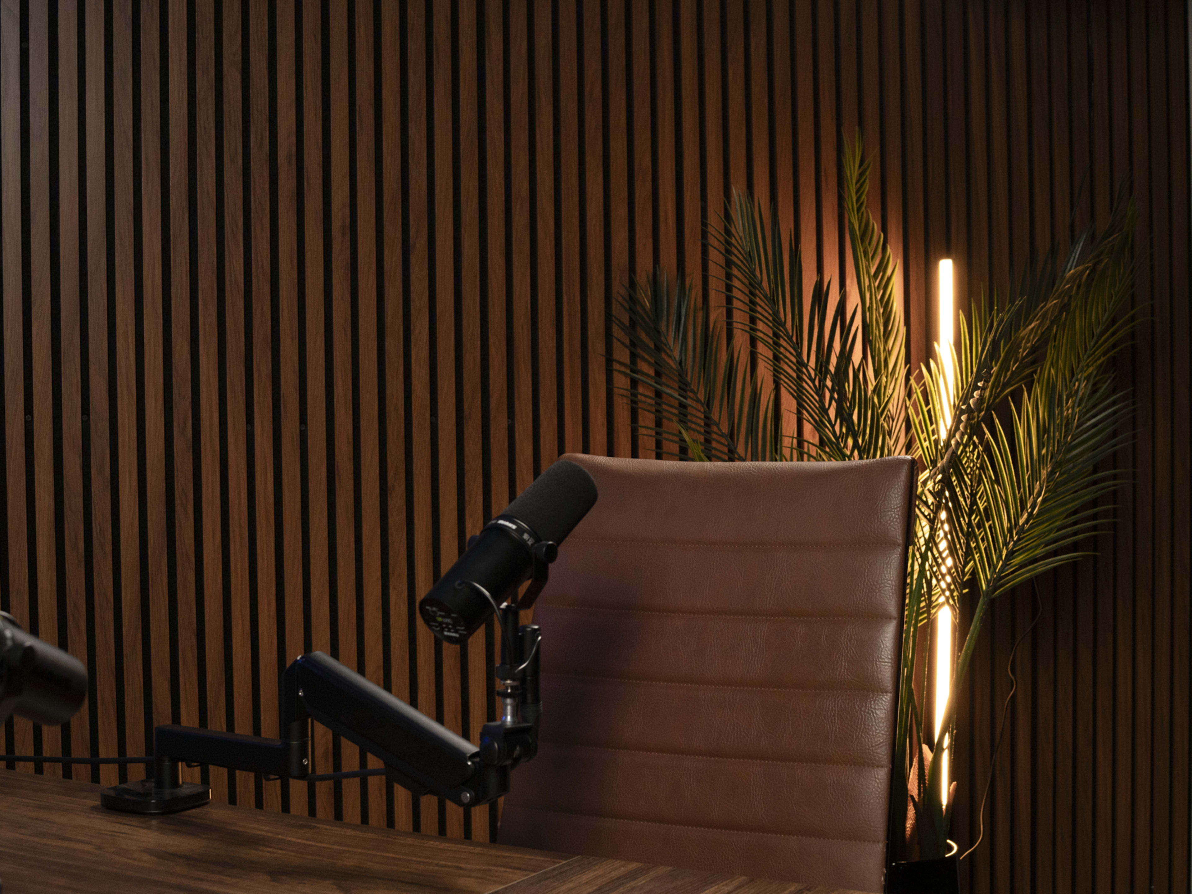 The image features a brown leather chair with a microphone mounted on an arm, set against a backdrop of wooden slats and a plant next to a light source.