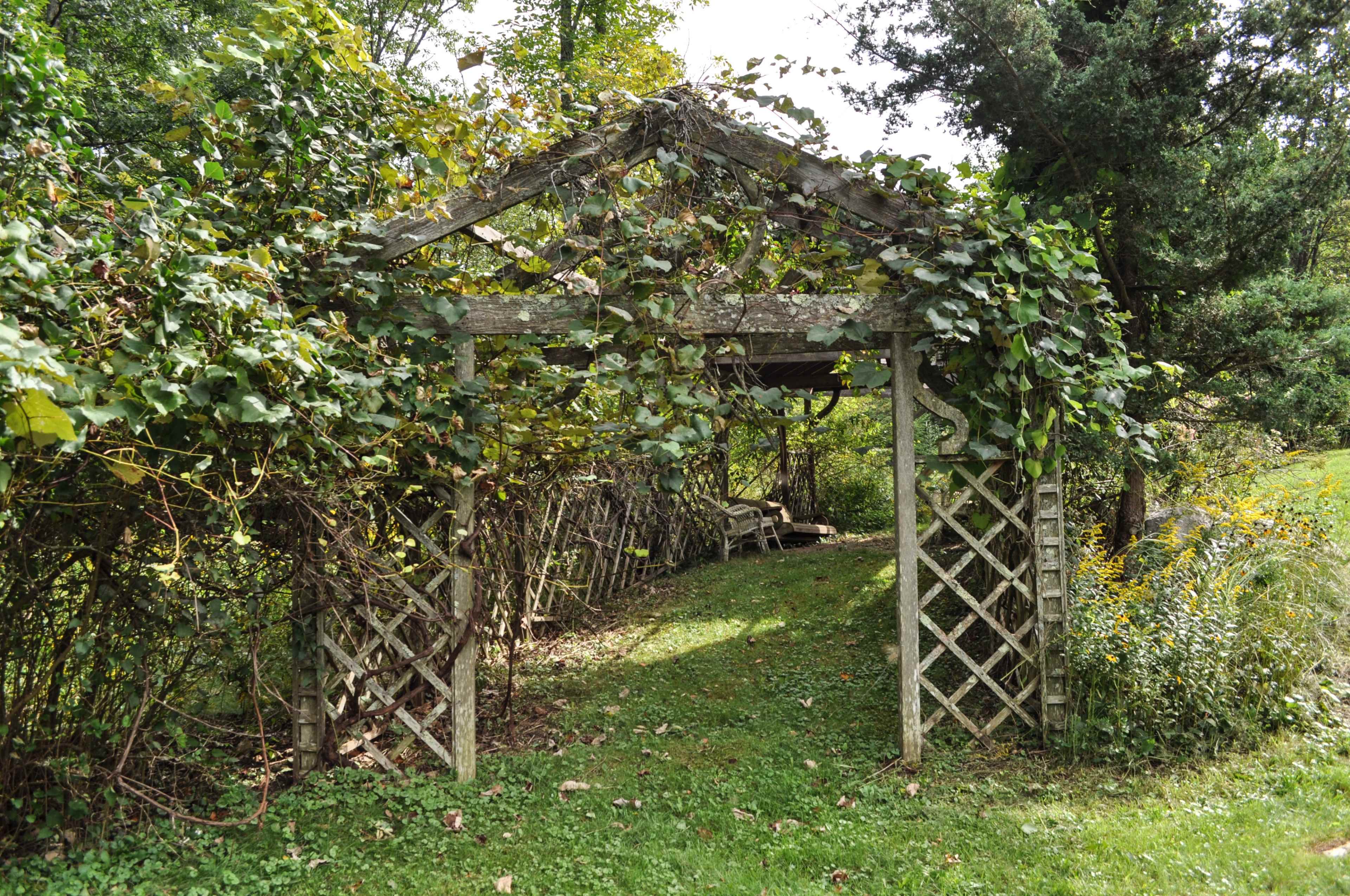 An overgrown wooden arbor covered with climbing vines leads into a shaded garden path.