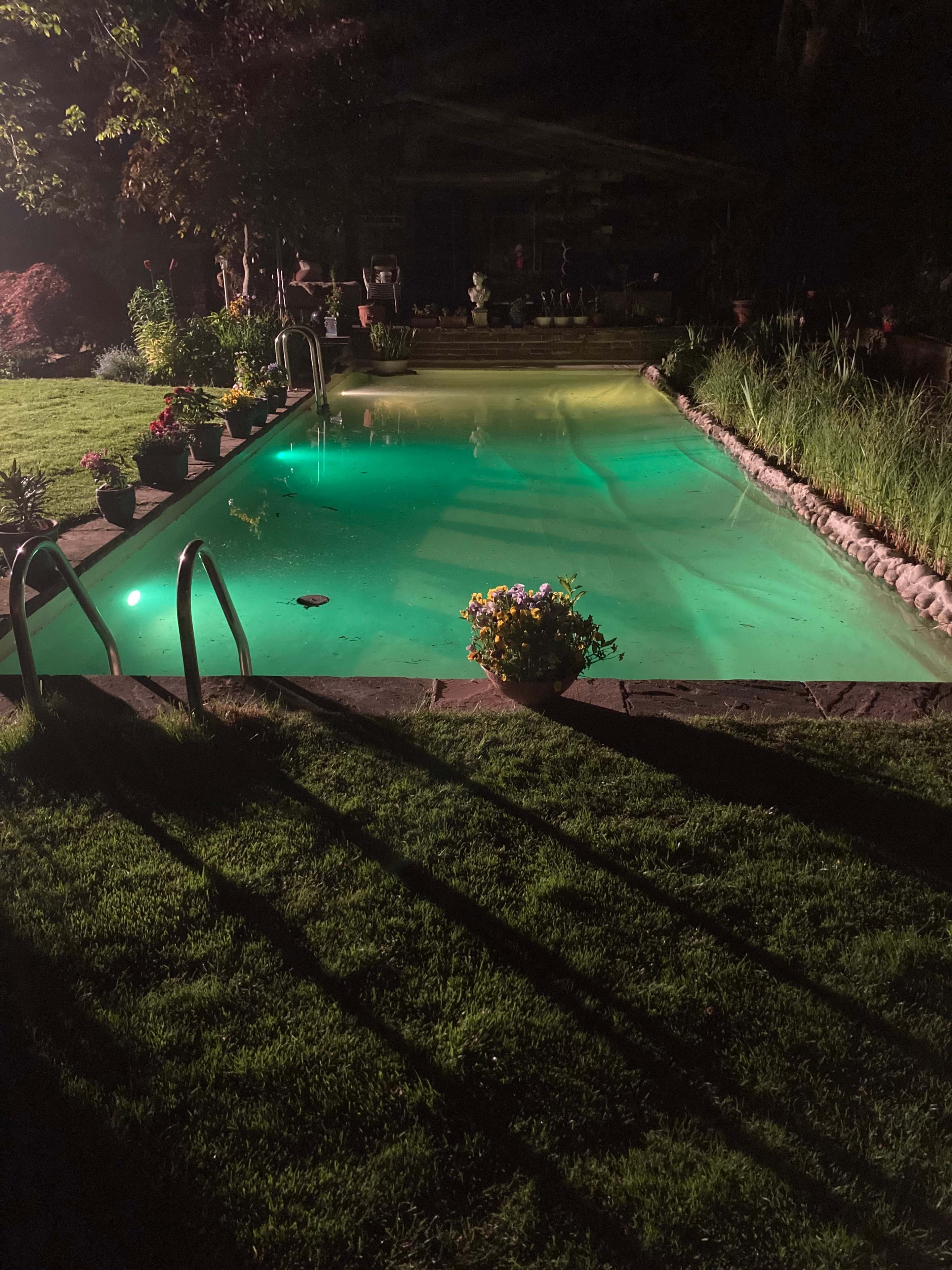 A swimming pool at night, with green-tinted water and potted plants along its edges.