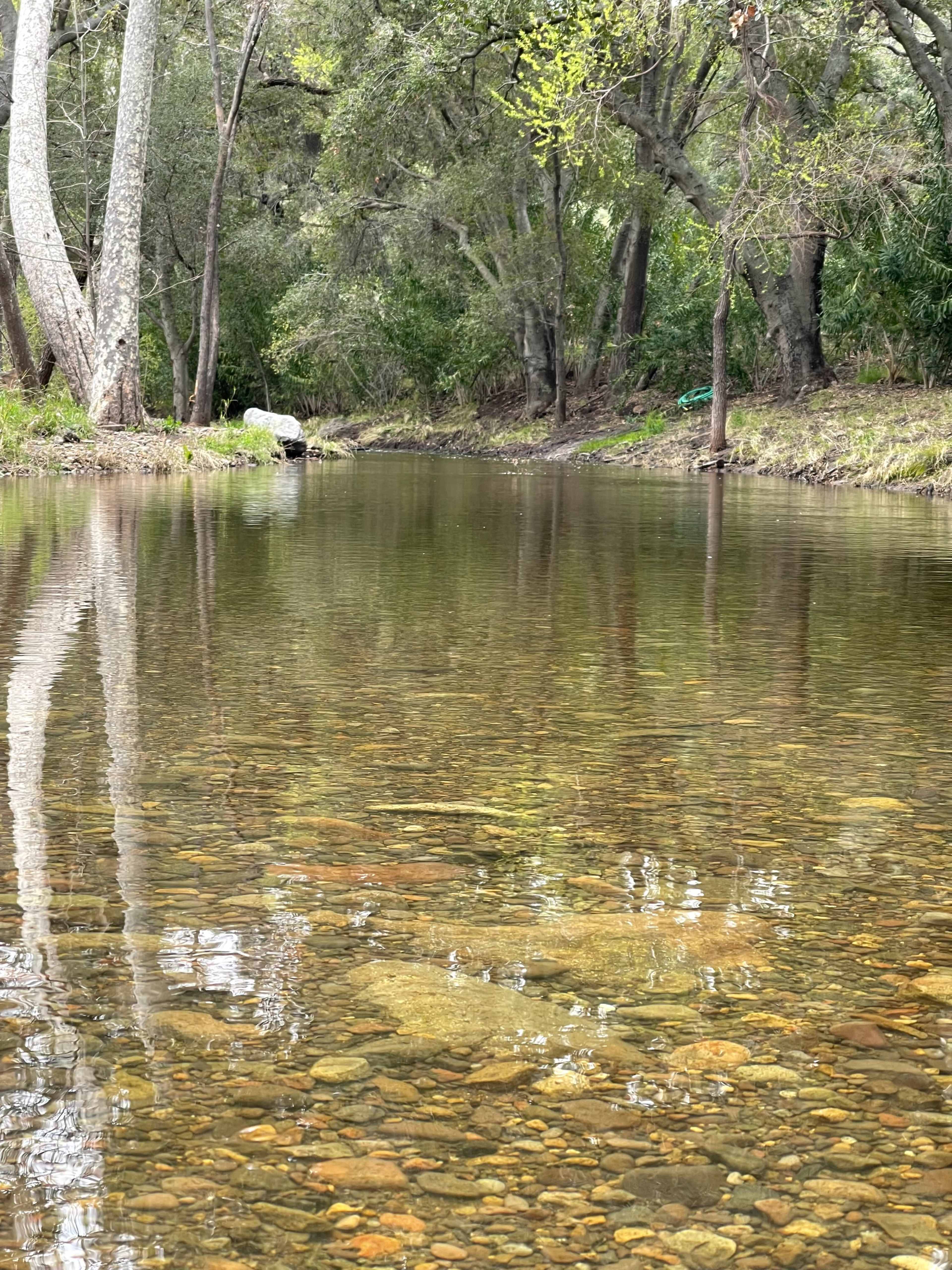A calm creek reflects trees along its banks and shows visible stones on the bottom.