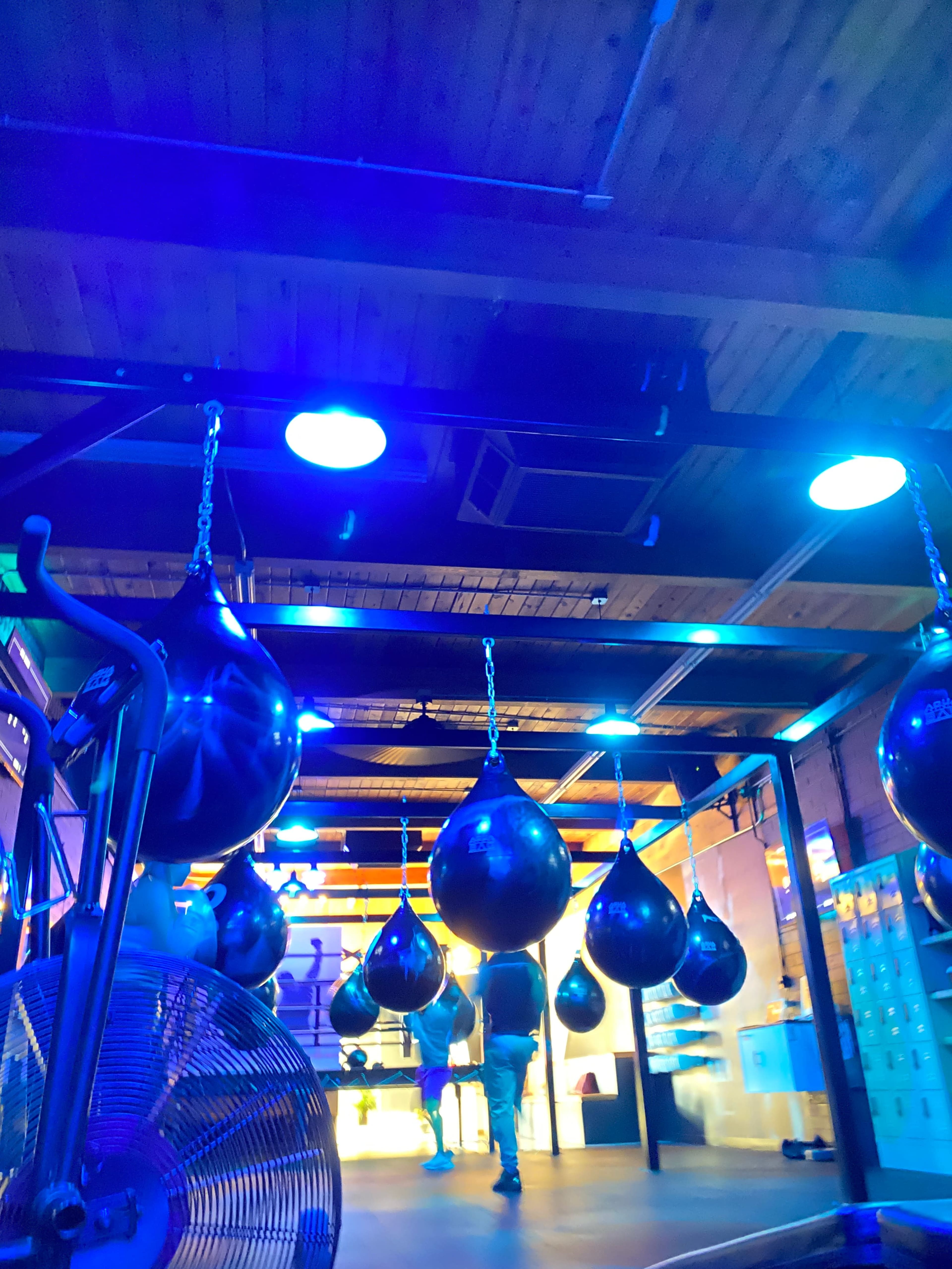 The image shows a gym interior with hanging black punching bags under blue lighting and a fan in the foreground.