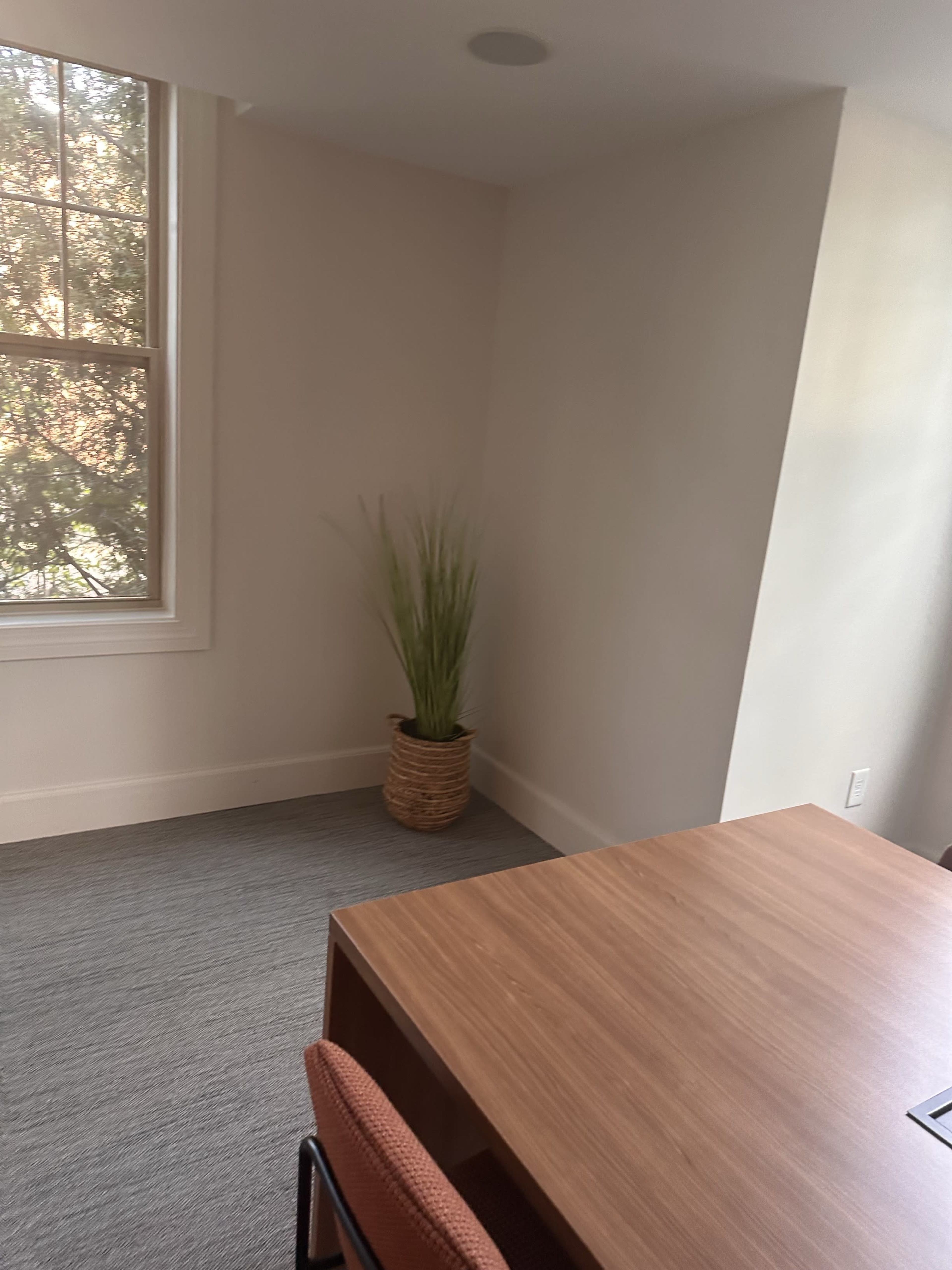 A small office space features a wooden desk and a potted plant in the corner near a window.