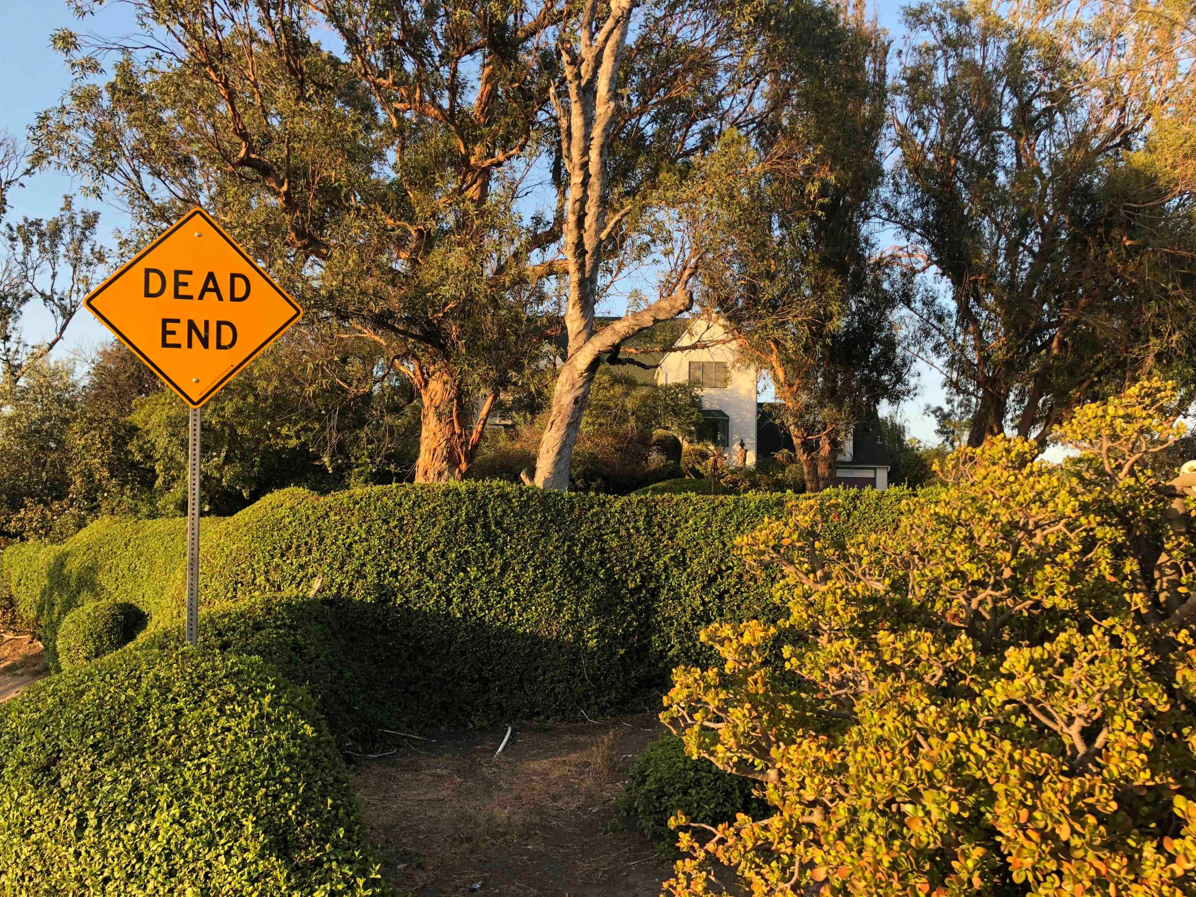 A "Dead End" sign stands beside a bushy landscape with trees and a house visible in the background.