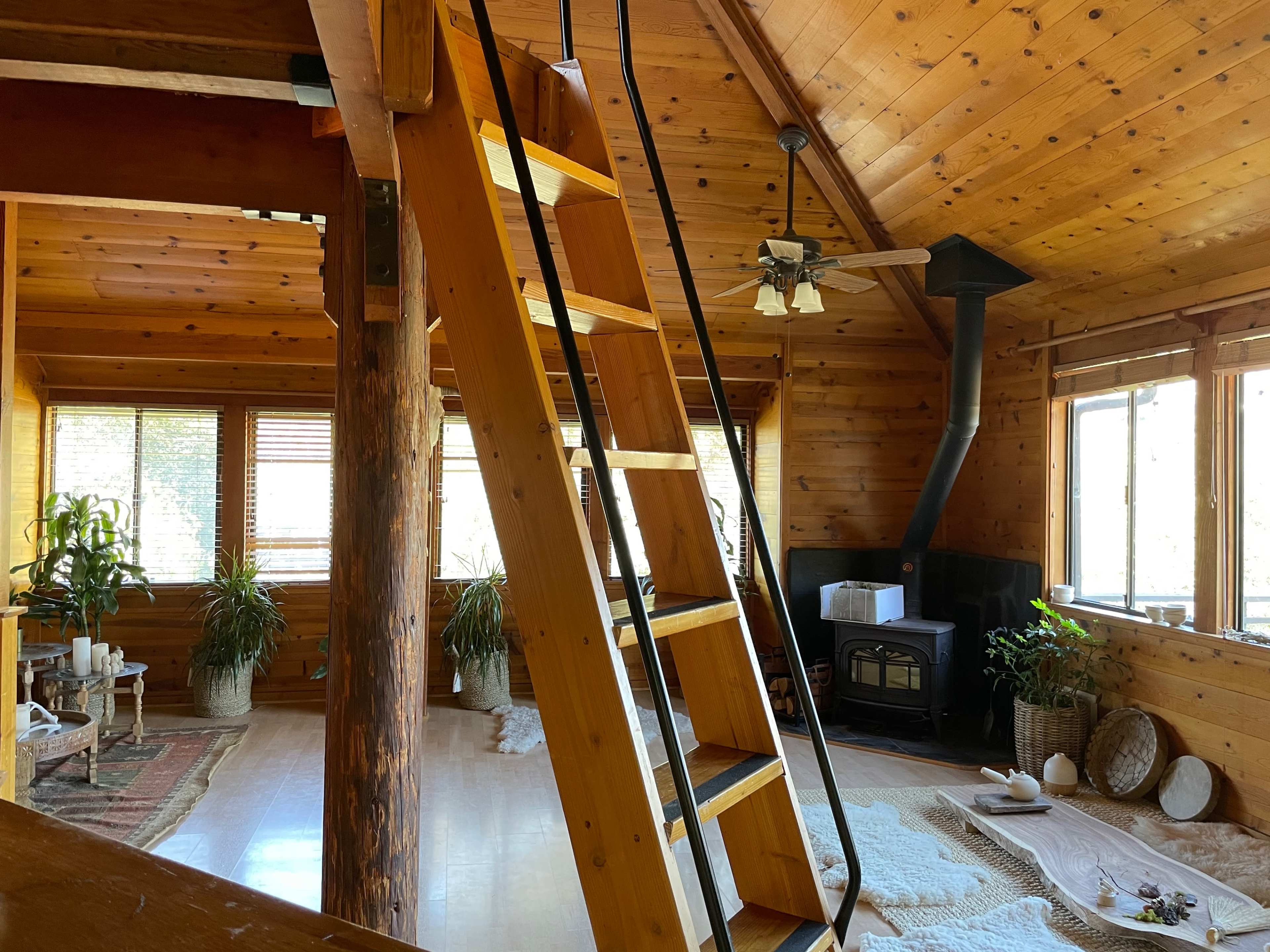 A wooden interior of a rustic cabin featuring a ladder leading to an upper level, a fireplace, and several potted plants.