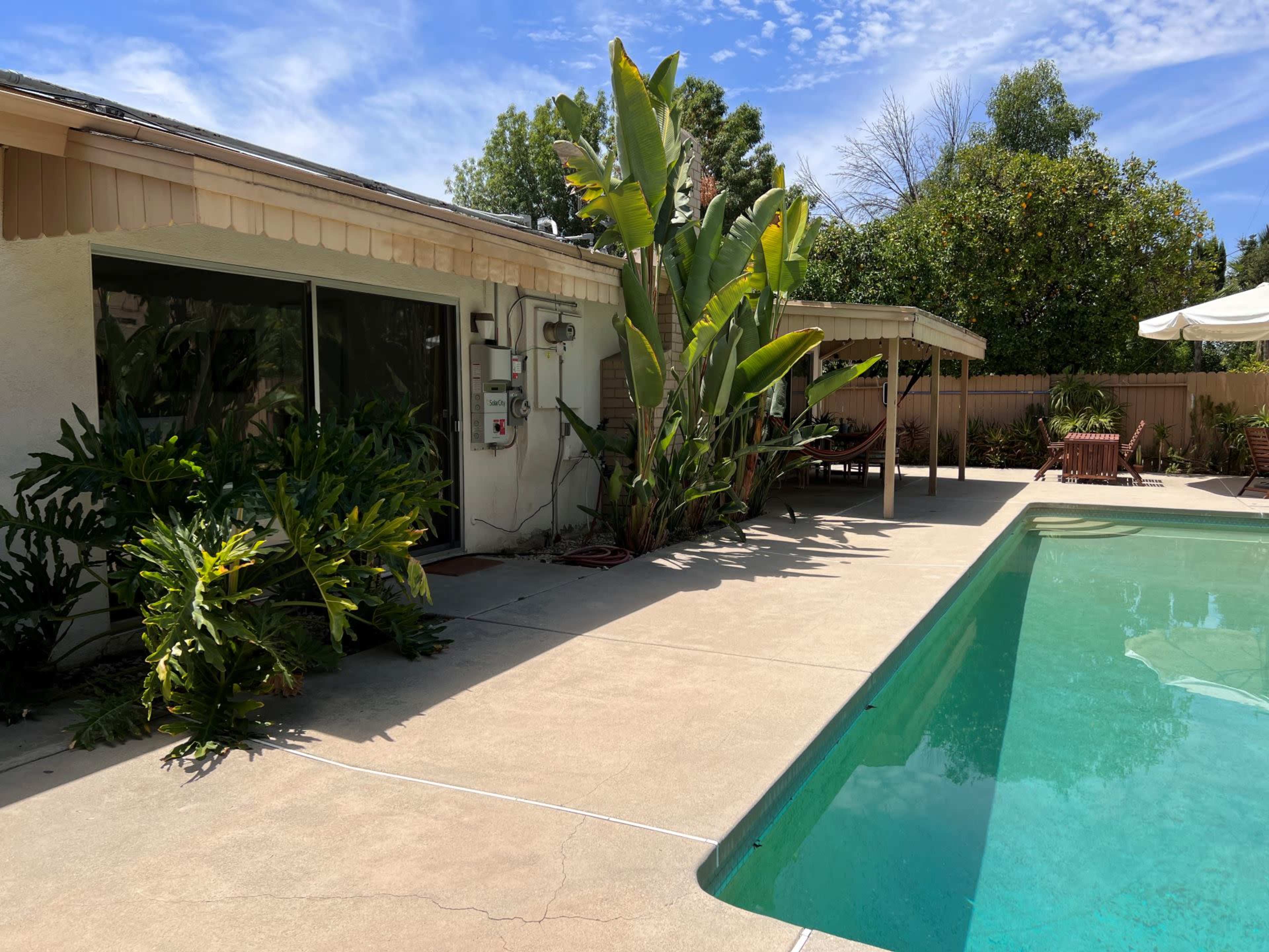 A patio with a swimming pool is surrounded by plants and a house with large windows.