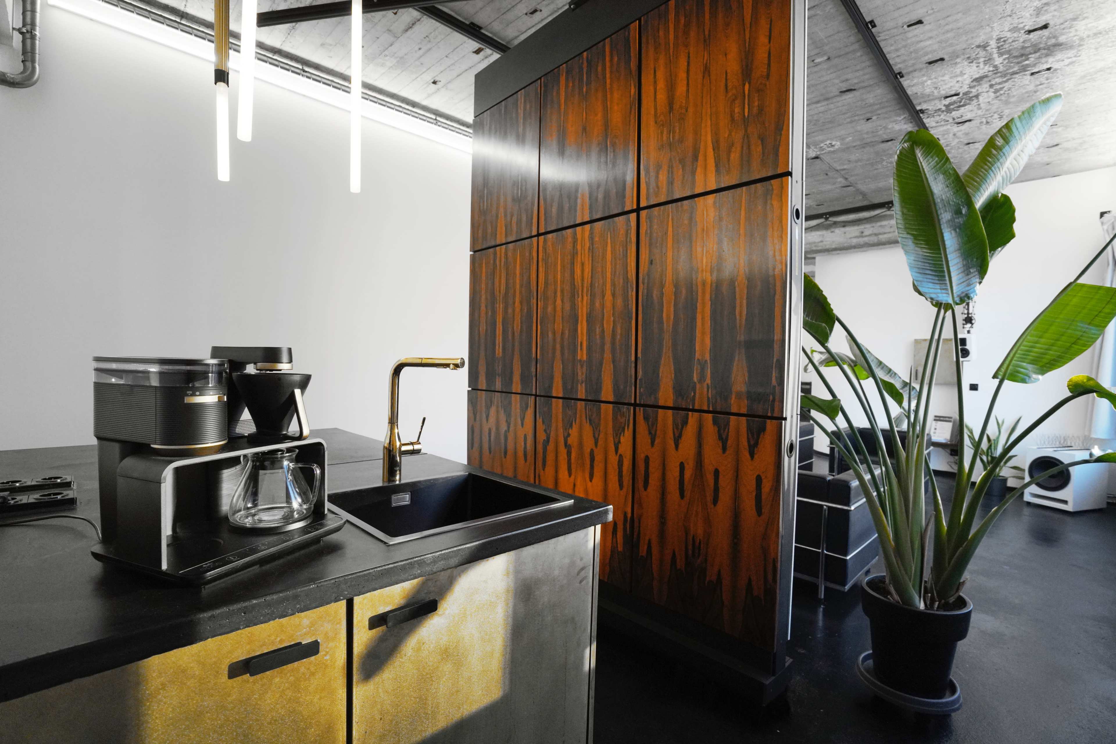A modern kitchen featuring a sleek coffee maker, a dark countertop with a sink, a tall wooden cabinet, and a large potted plant.