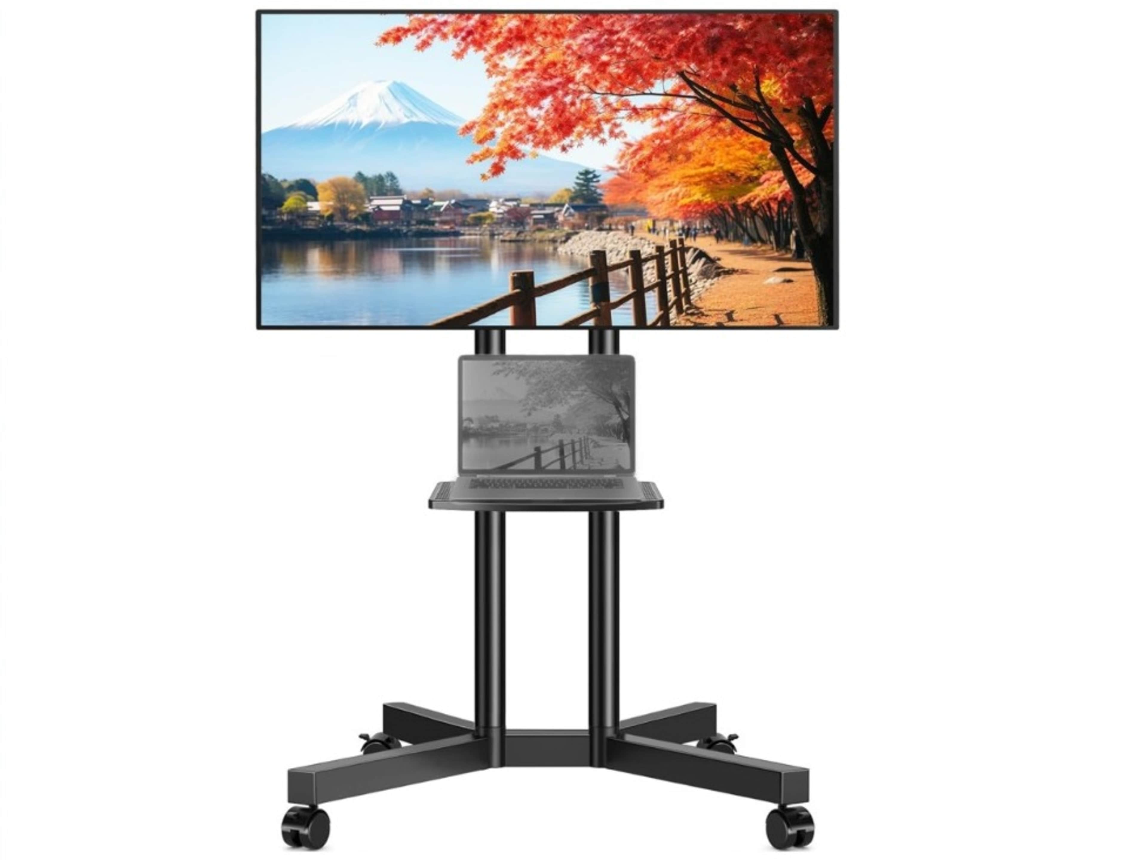 55" 4K TV on Rolling stand 