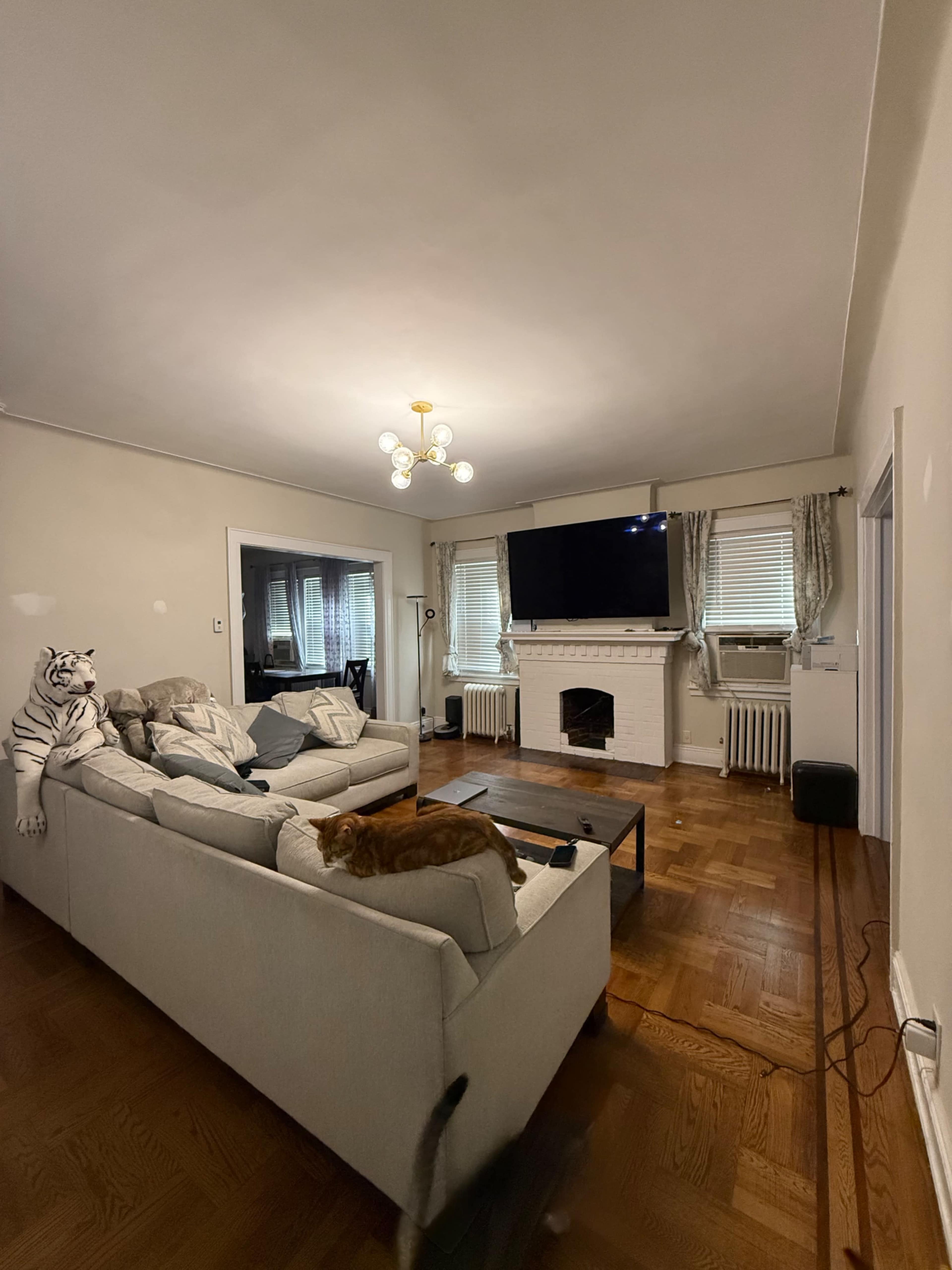 Historic Jackson Heights Family Home — Perfect for Film, TV, Advertising & Creative Projects Image in Jackson Heights, Jackson Heights, NY