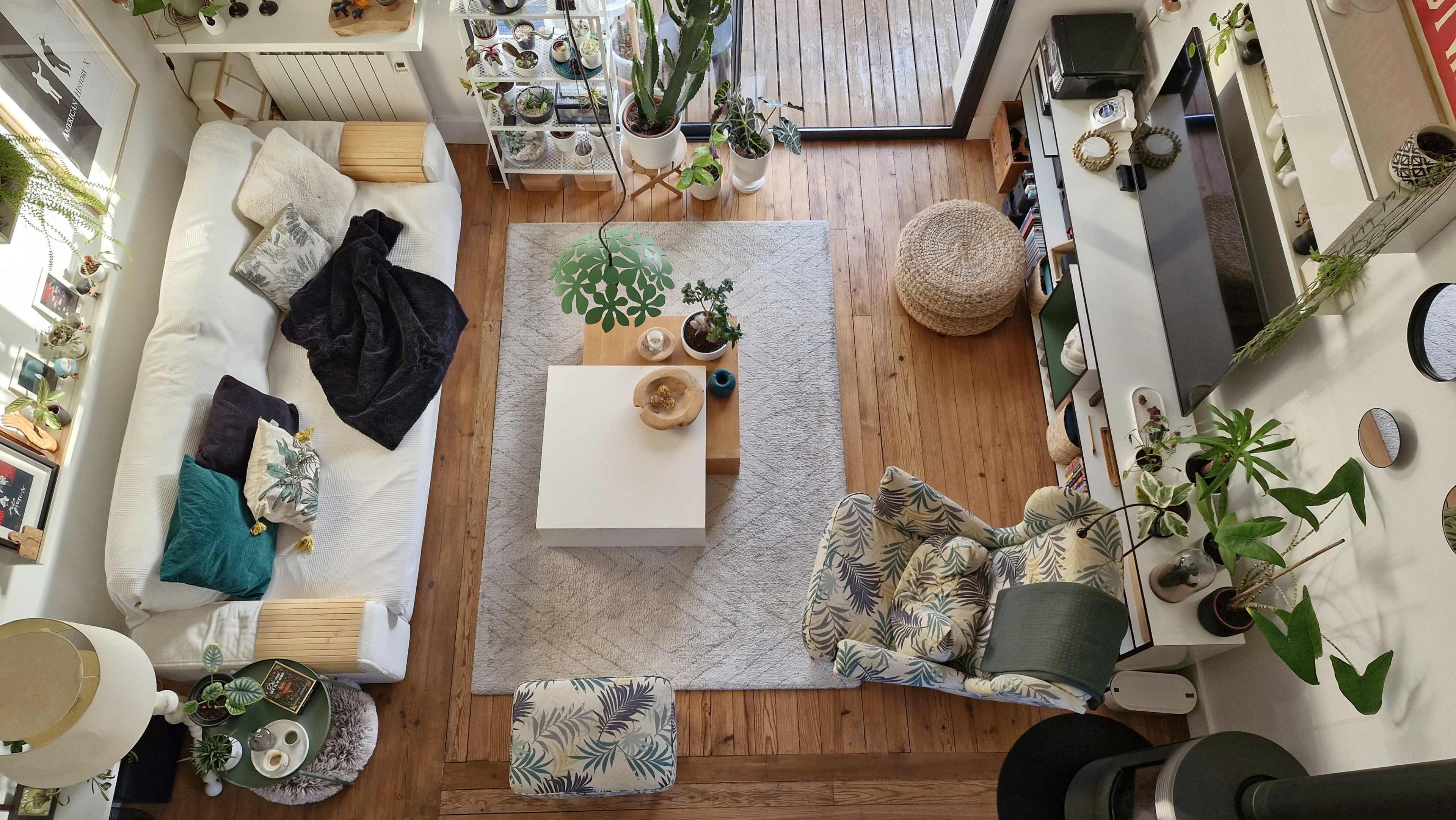 The image shows a cozy living room with a white sofa, a coffee table, and various houseplants arranged throughout the space.