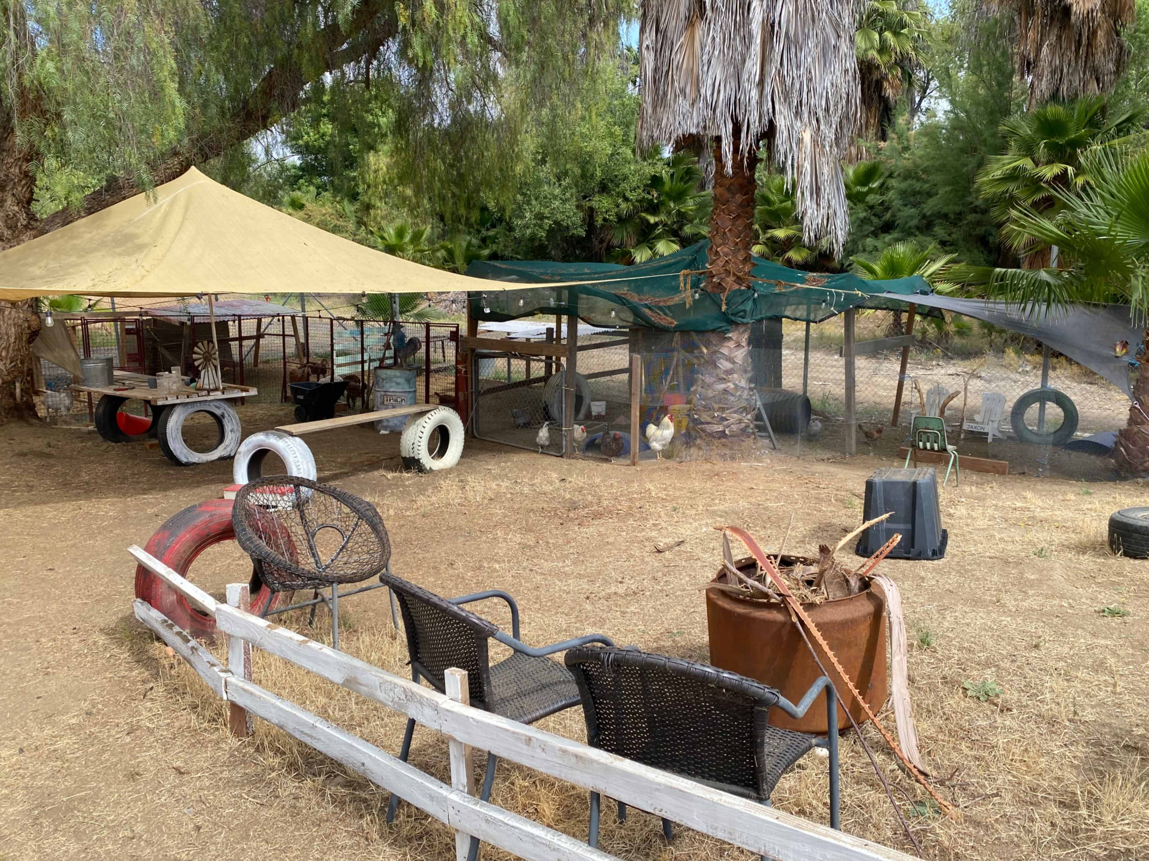 The image shows a dusty outdoor area with assorted chairs, a tarp-covered structure, and various objects including tires and containers scattered around palm trees.