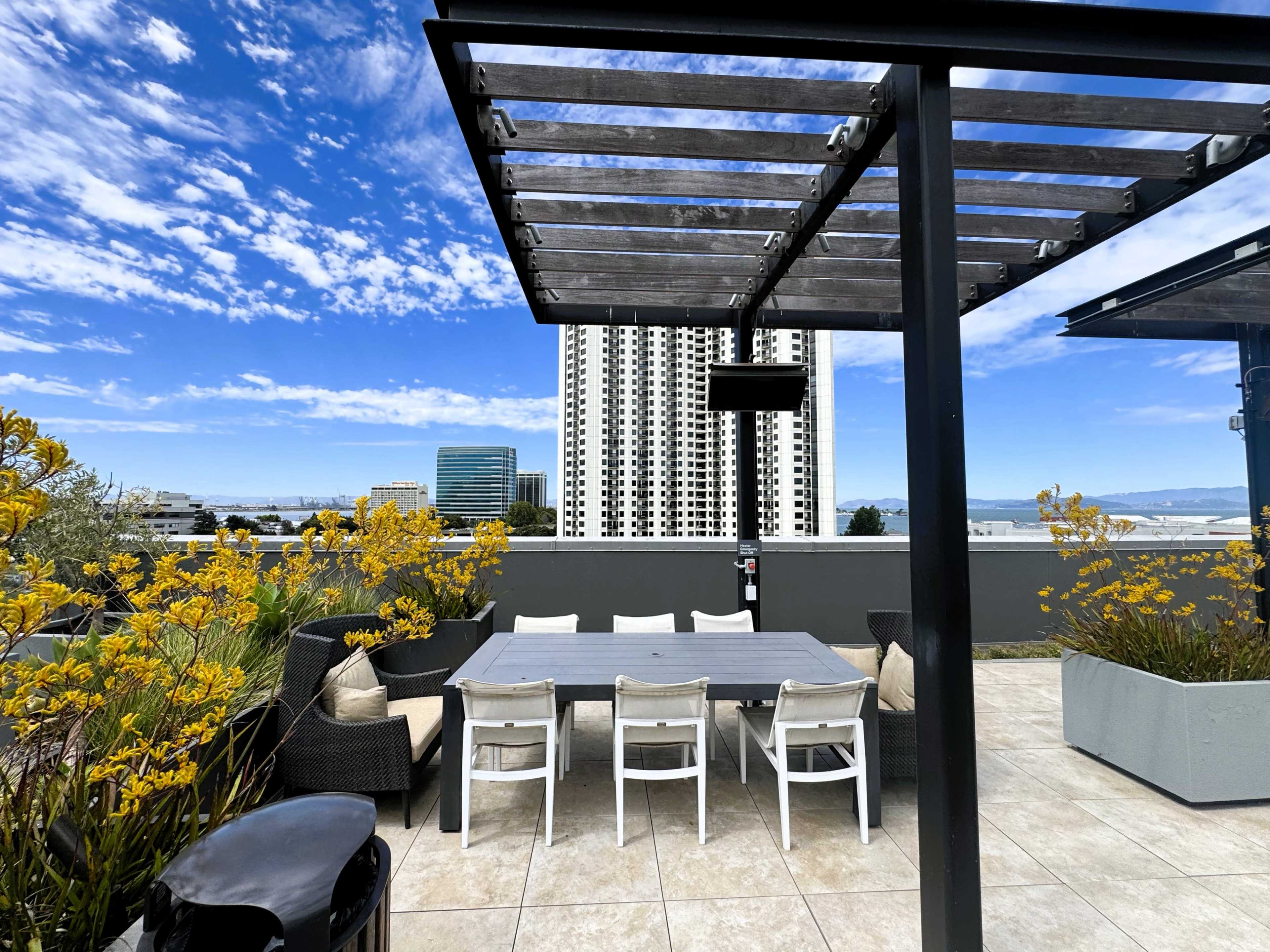 The image shows a rooftop terrace with a dining table, chairs, and surrounding potted plants against a backdrop of tall buildings and a blue sky.