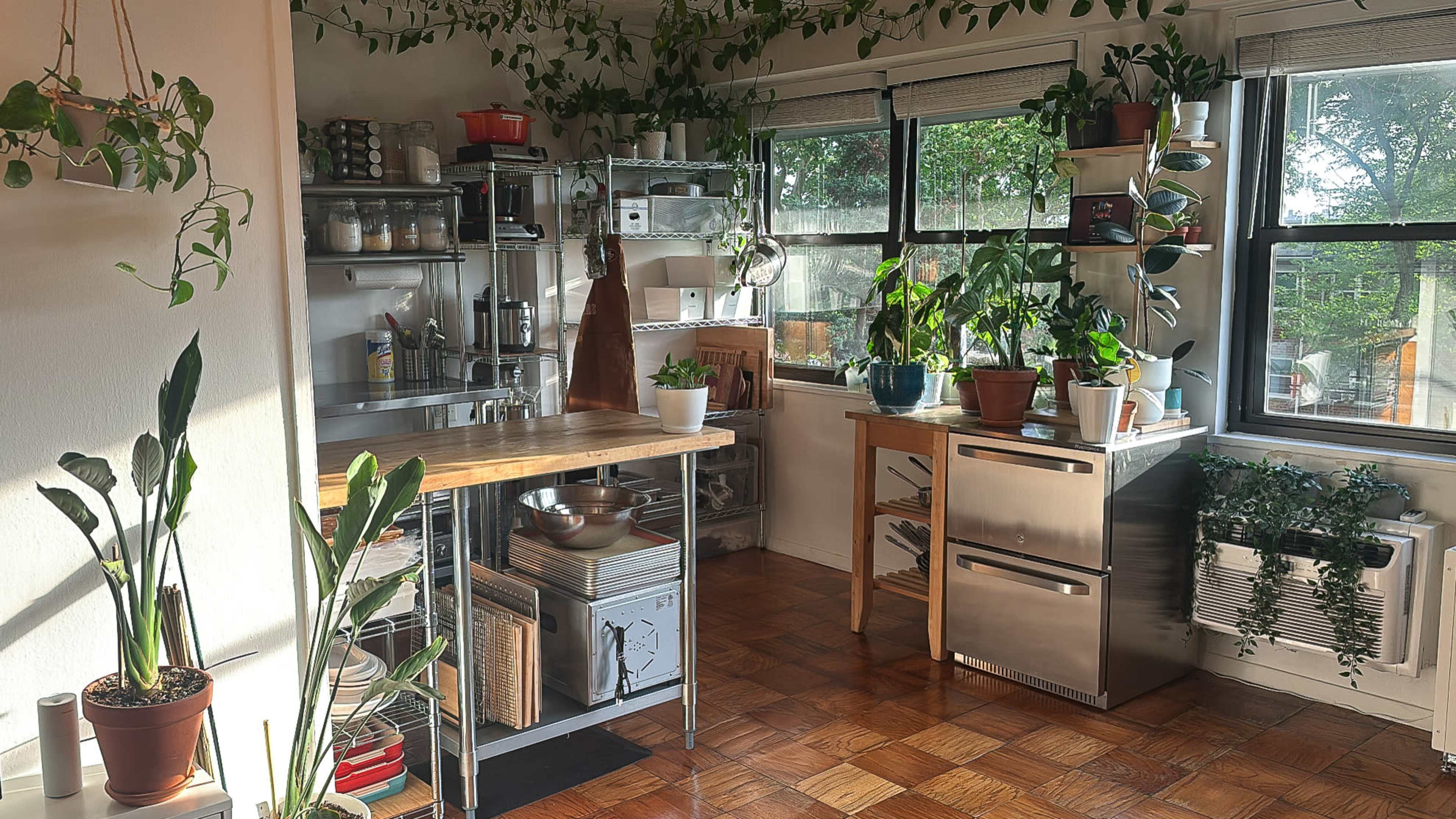 A bright kitchen features stainless steel appliances, a wooden countertop, an assortment of plants on shelves, and large windows allowing natural light to illuminate the space.