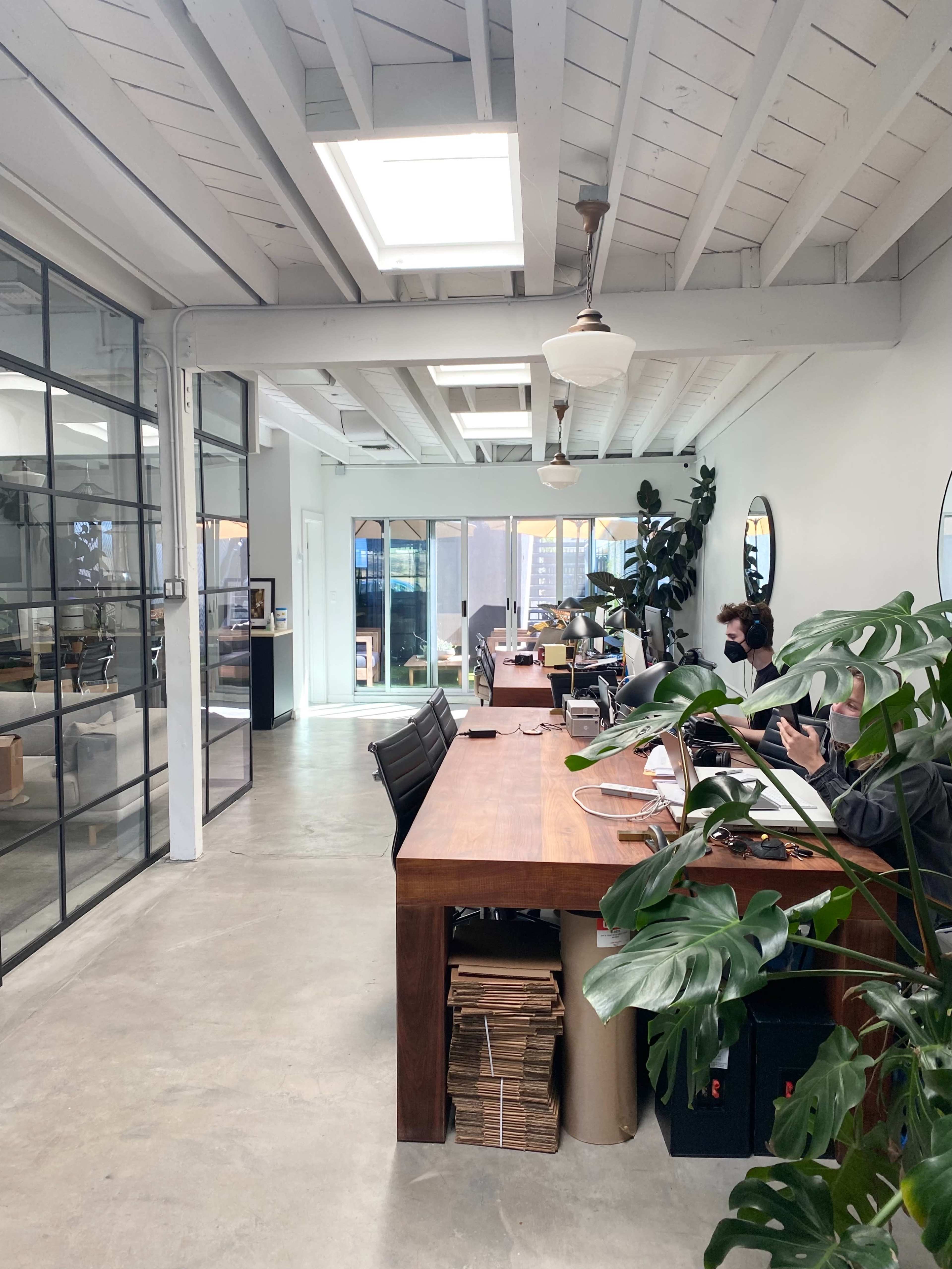 The image shows an open office space with wooden desks, large windows, and plants along the walls.