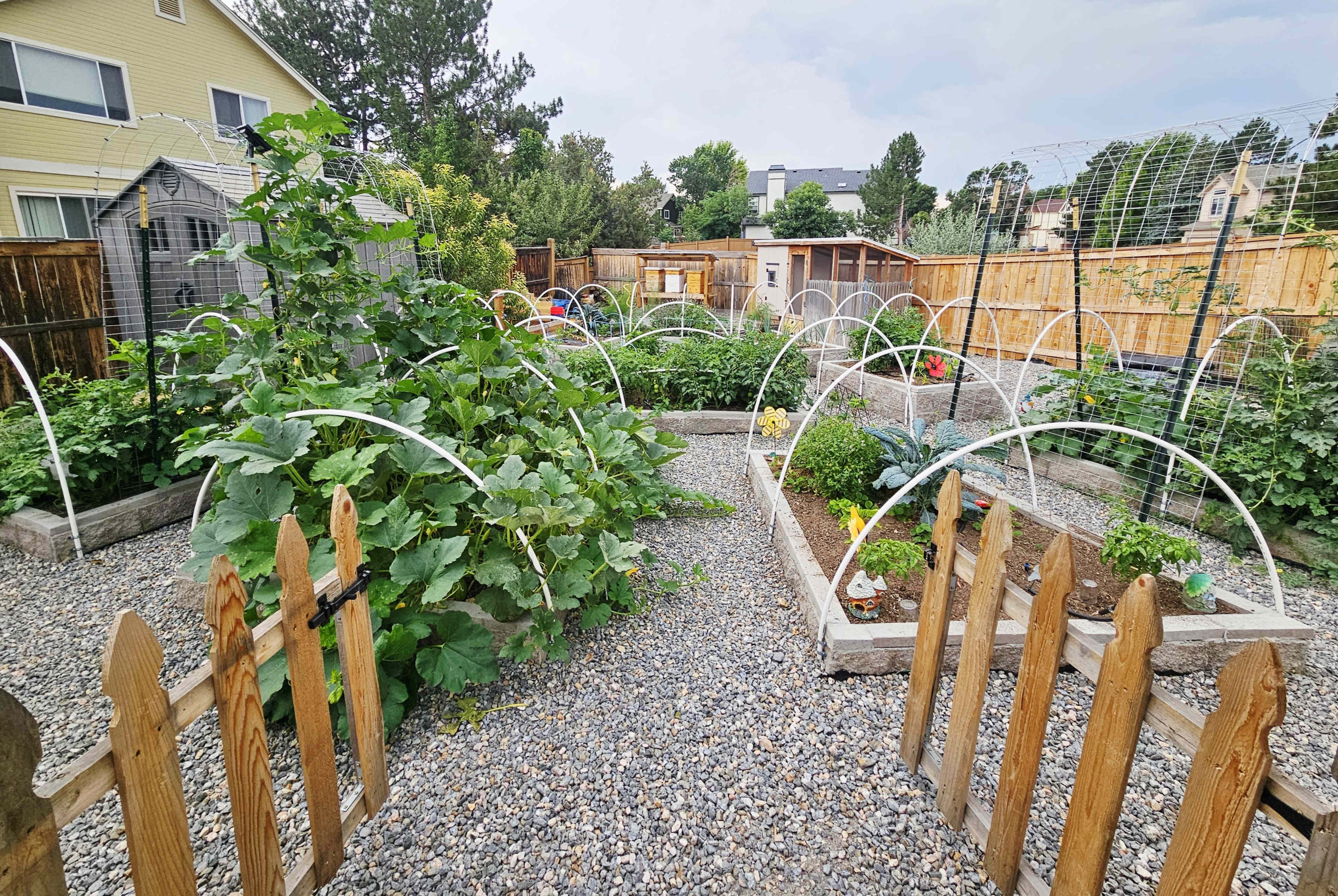 The image shows a well-organized garden with multiple raised beds, trellises, and gravel pathways surrounded by a wooden fence.