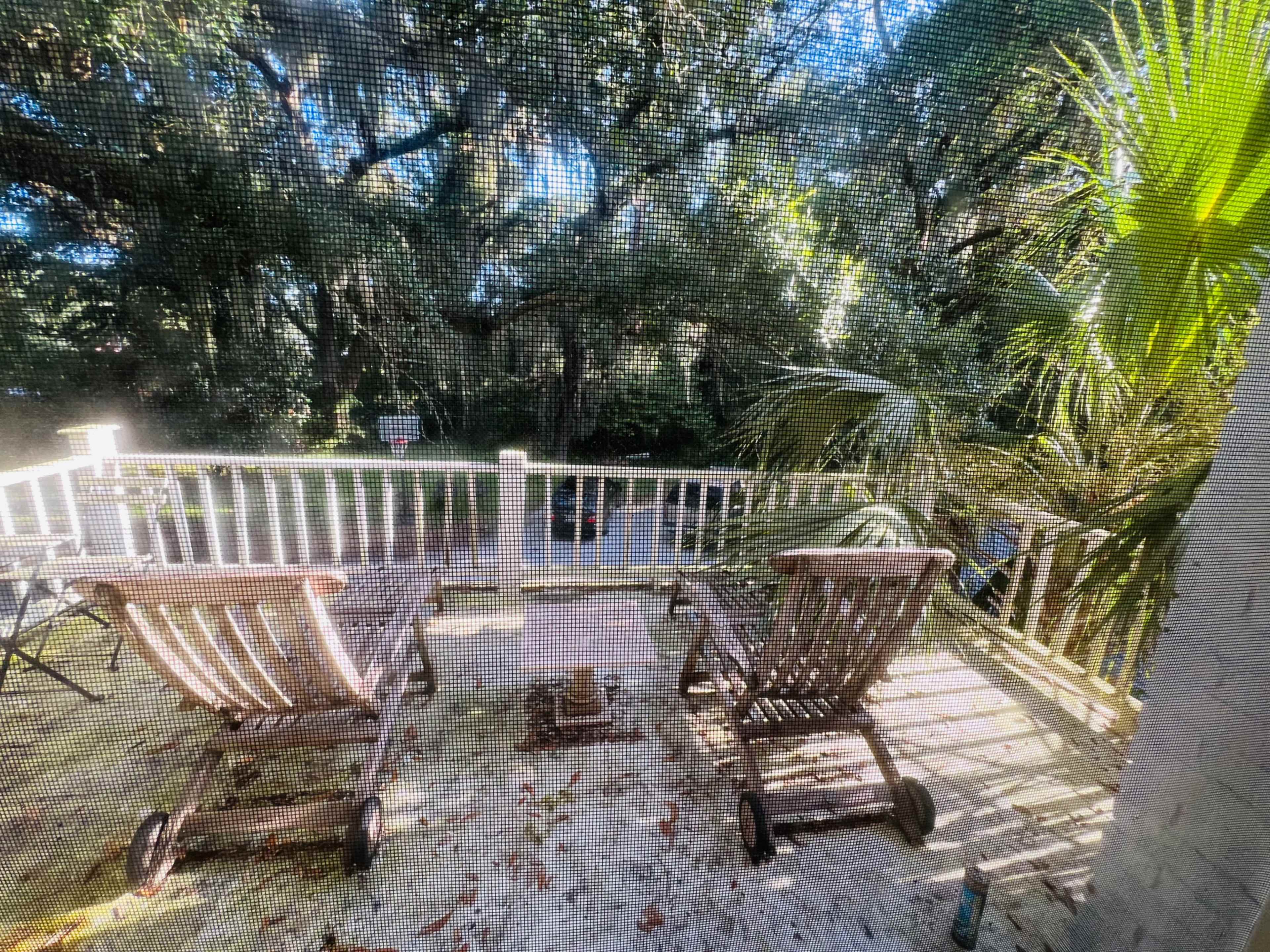 The image shows a deck with two wooden lounge chairs facing a wooded area, partially obscured by a screen.
